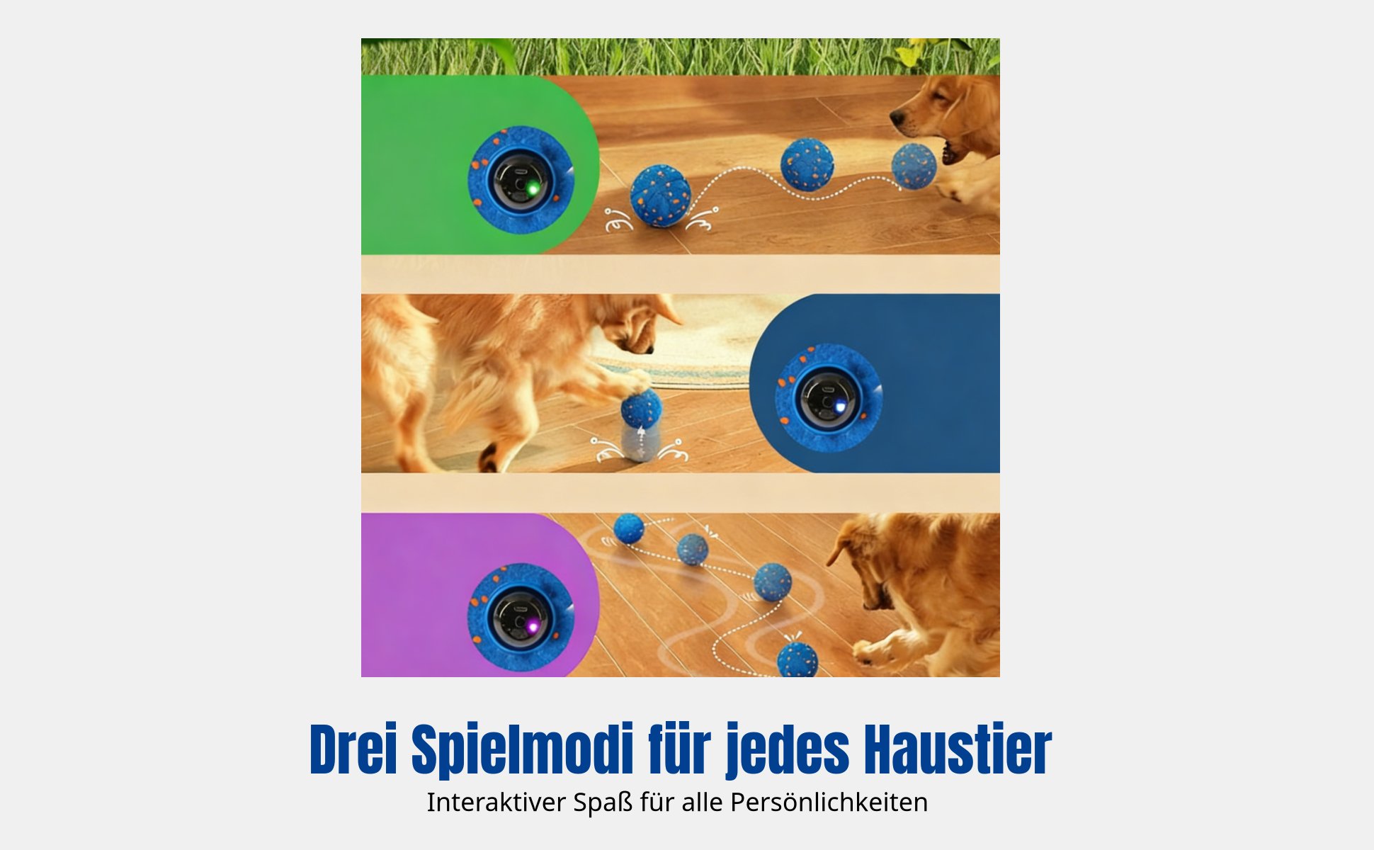 Robuste ETPU Hundespielzeug Kugel, elektrisch hüpfend, automatische Bewegung