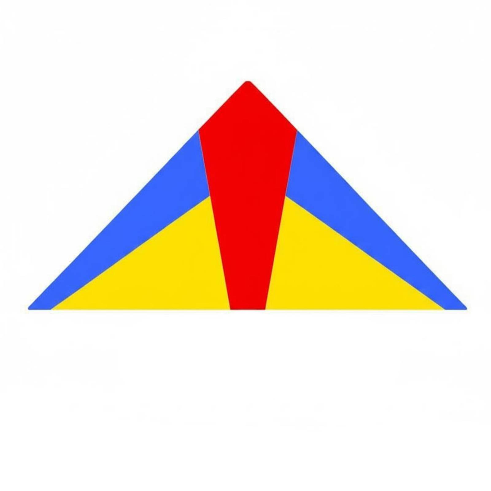 Professional Kite Reinforced Frame Precise Handling Vivid Pattern for Park