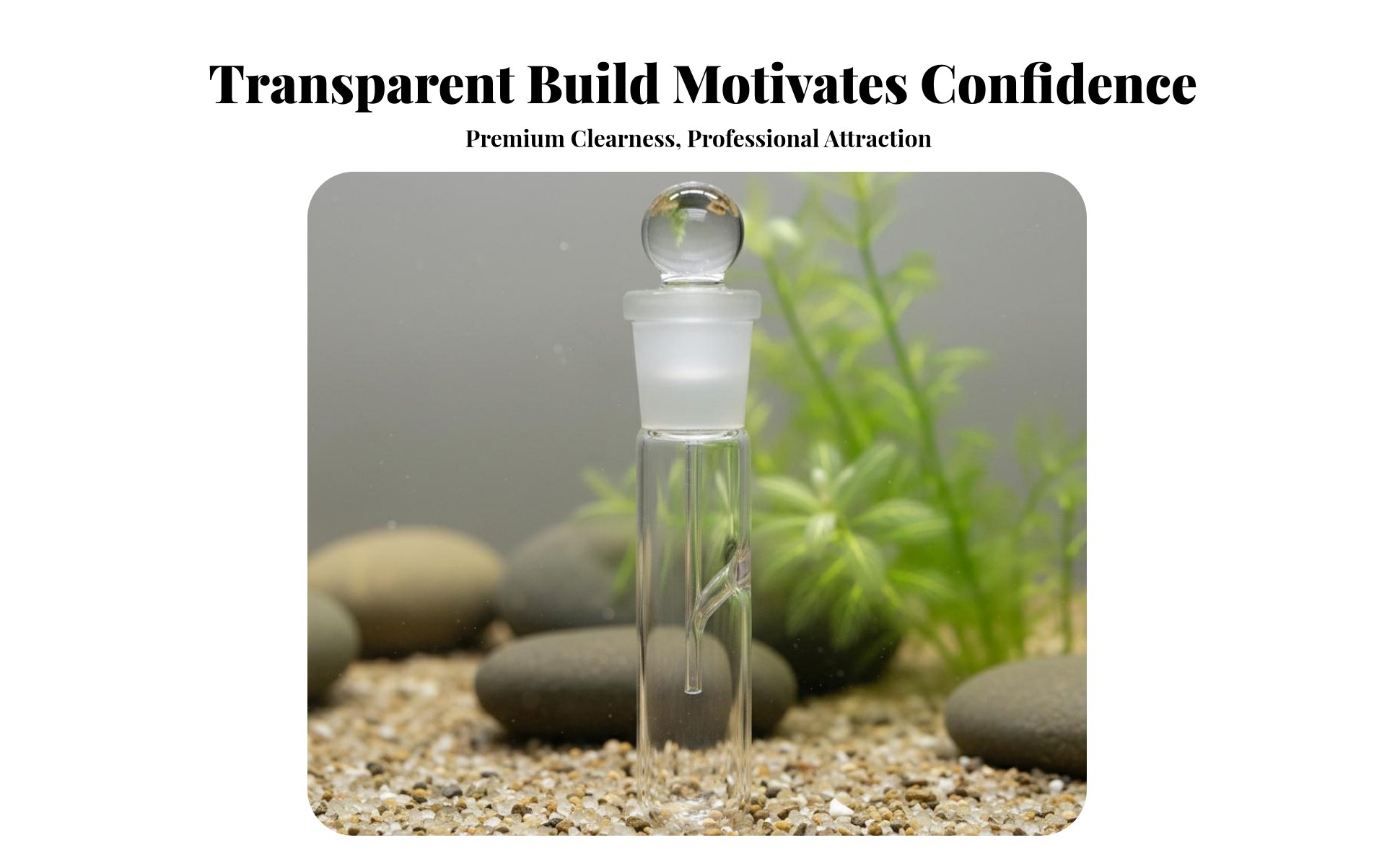 Planaria Catcher Transparent Design Glass Worm Catcher Safe