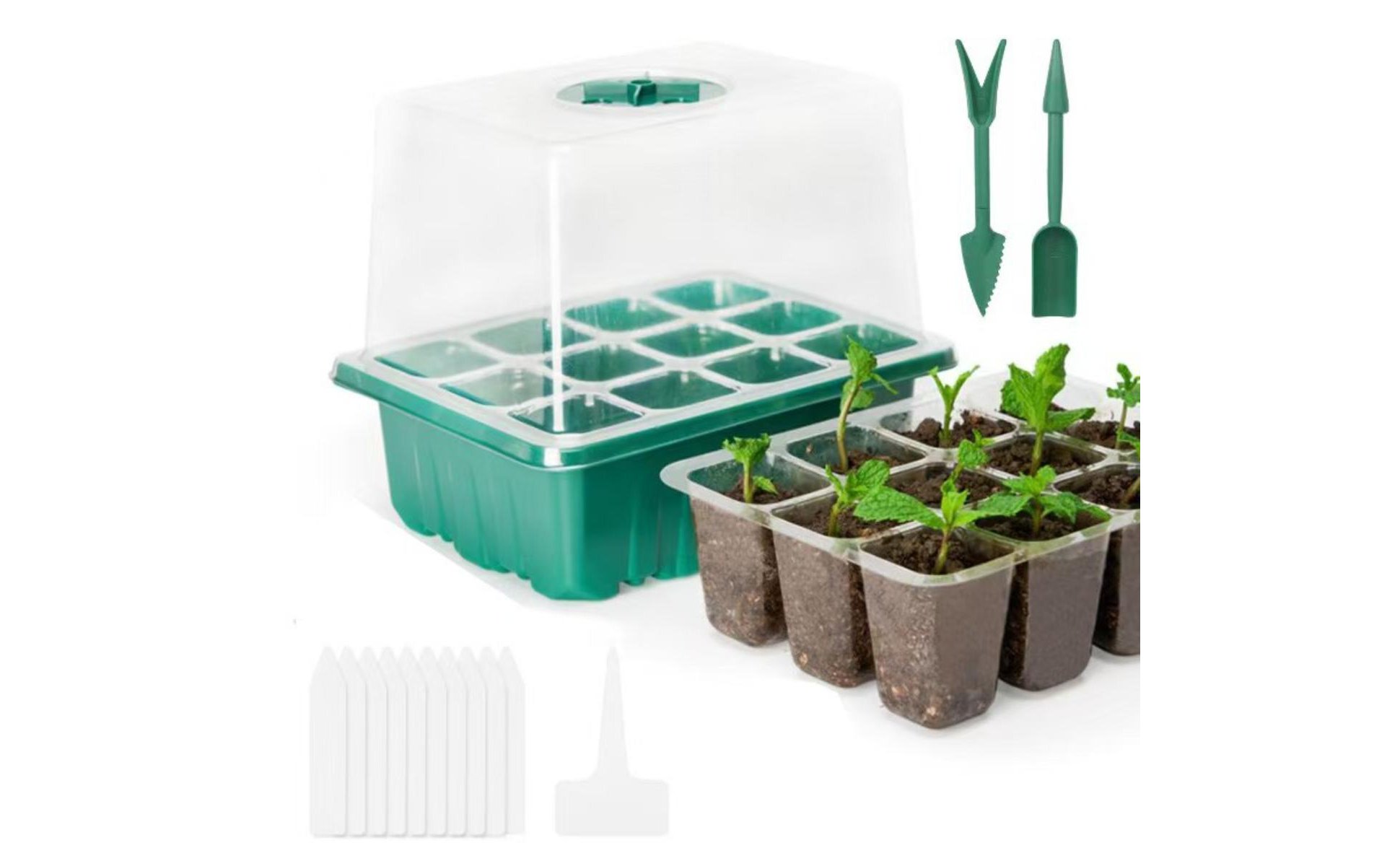 12 Cell Seedling Tray High Clarity Lid 12 Cell Plant Germination Tray