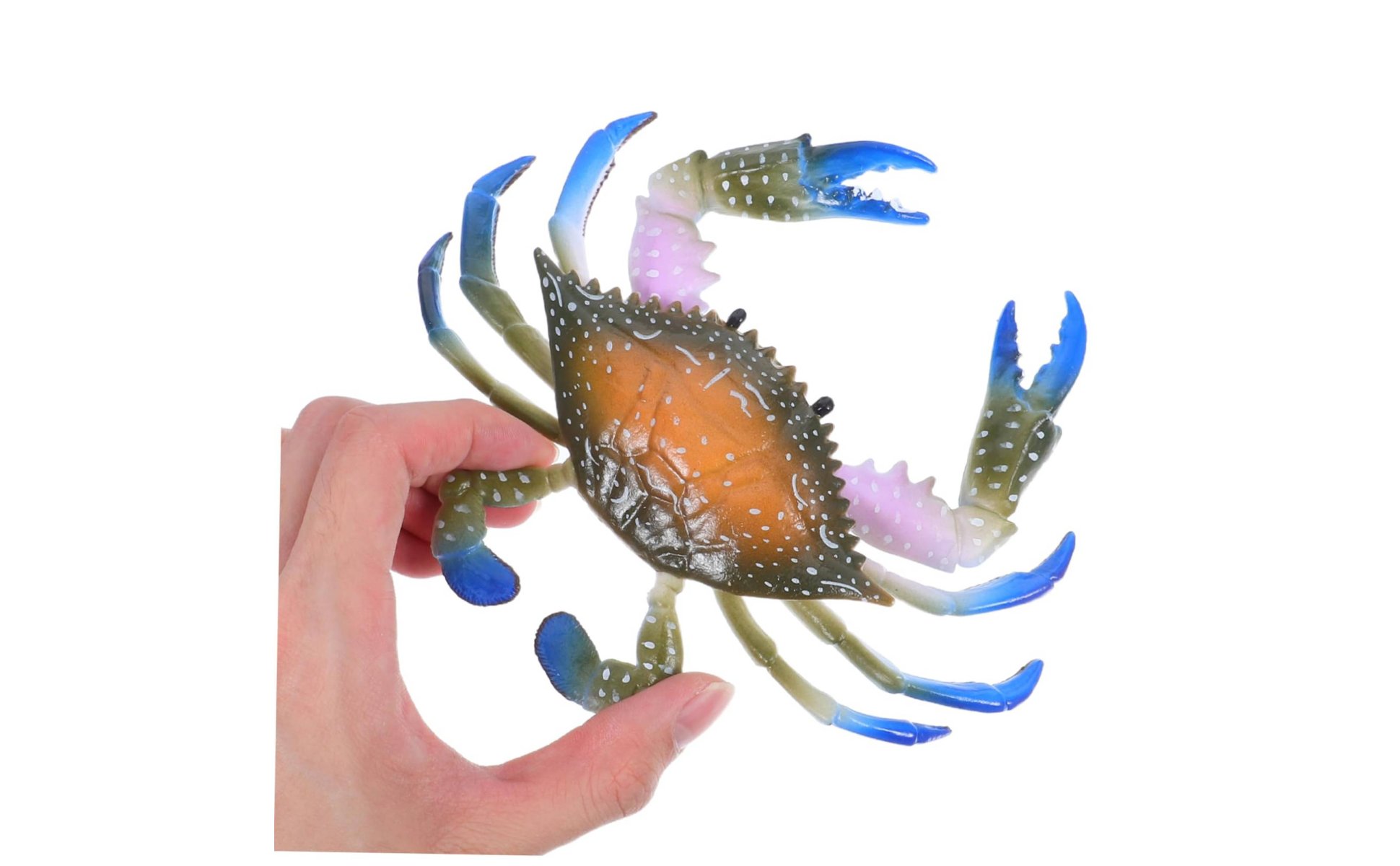 Realistic Crab Model Highly Detailed Three-Speckled Crab Toy Educational