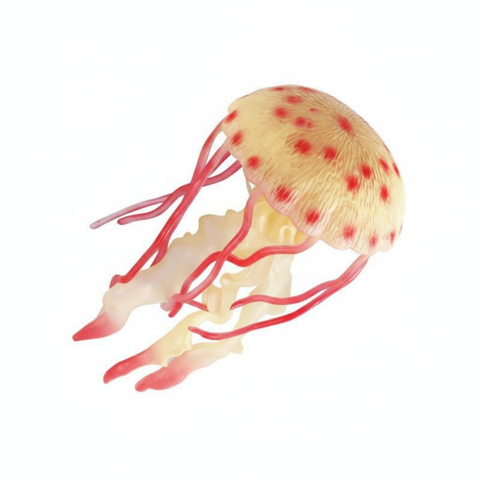Meerestier Spielzeugmodell detailgetreu Krabbenfigur sicheres Material