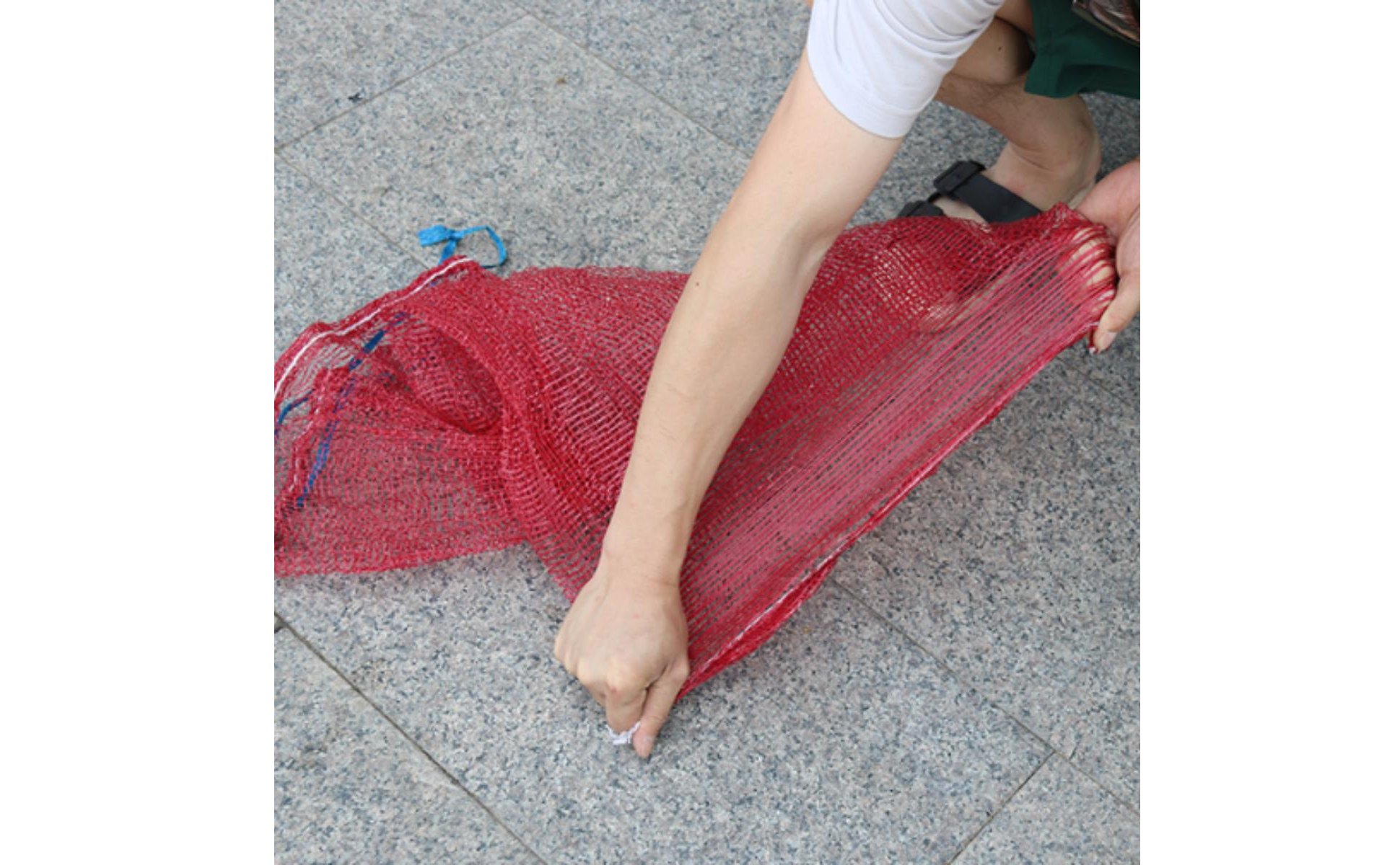 Mesh Produce Bag Breathable Heavy Duty Vegetable Net Bag Sturdy for Harvesting