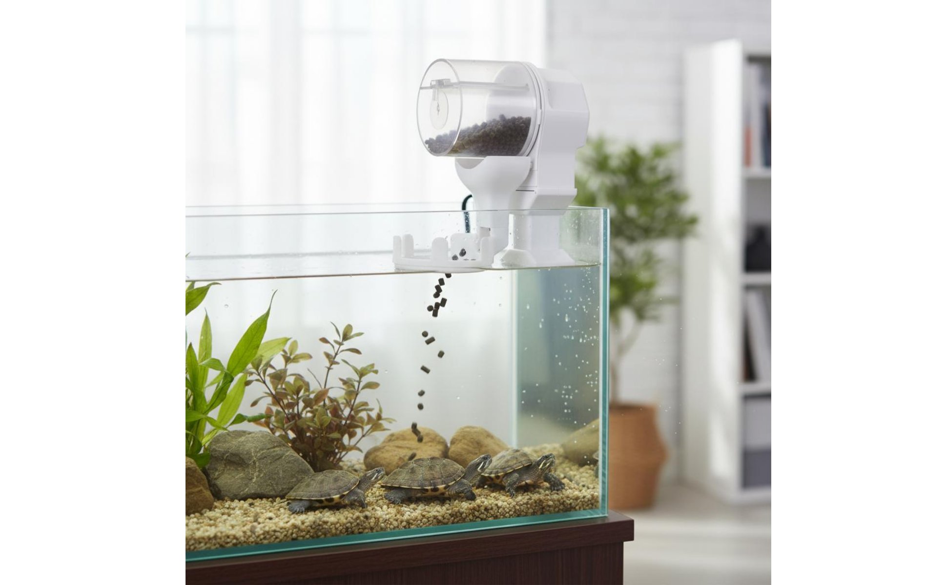 Automatischer Schildkrötenfutterautomat Große Kapazität für Abwesenheit, Urlaub