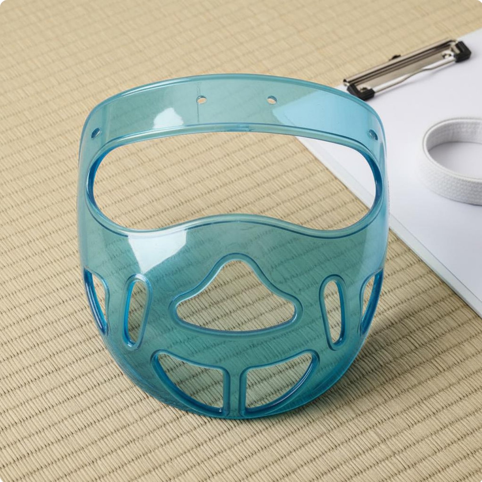 Taekwondo Face Mask Comfortable Fit Detachable Combat Arts Guard for Children
