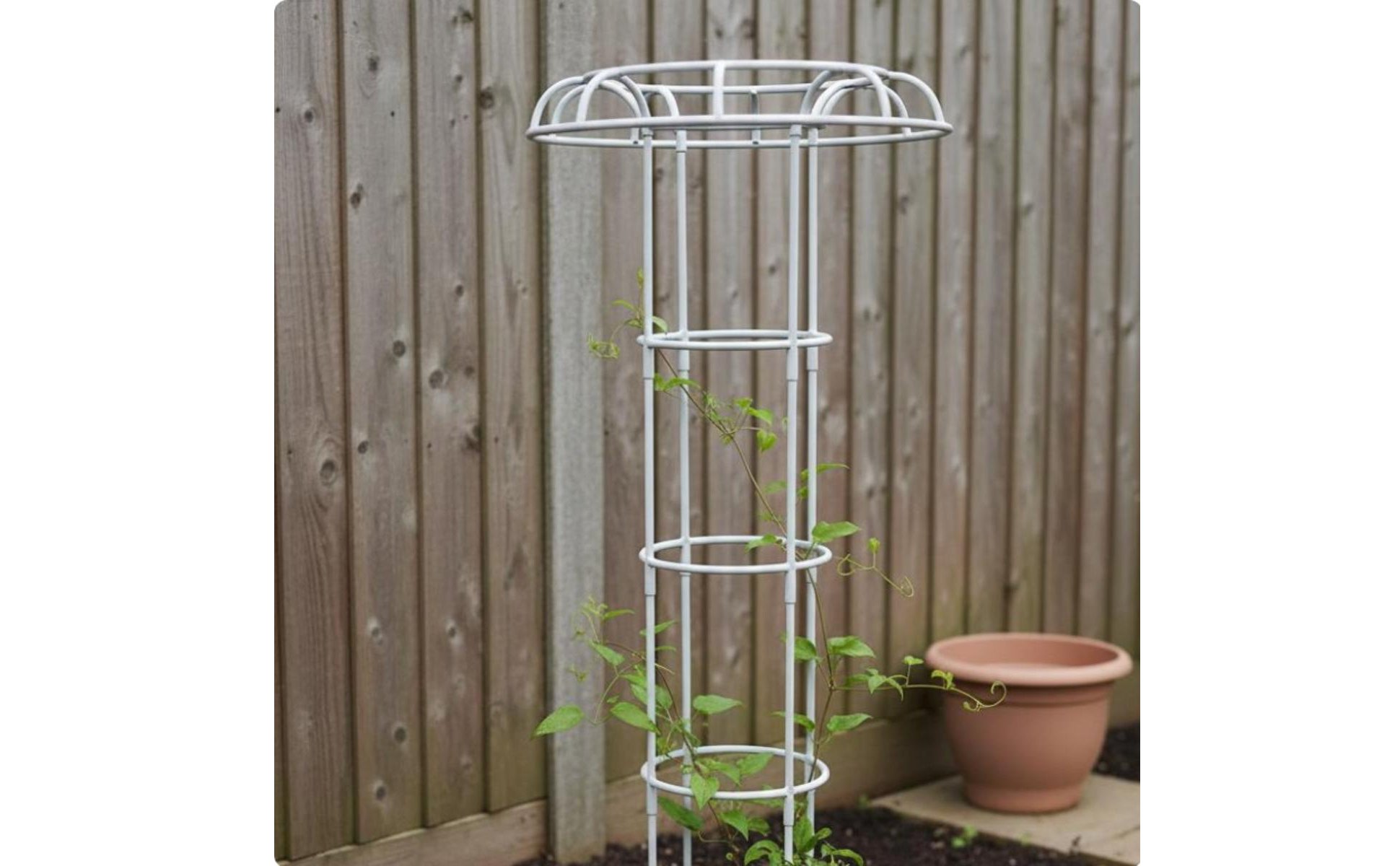 Toadstool Top Plant Support Weather Resistant Umbrella Plant Trellis Easy
