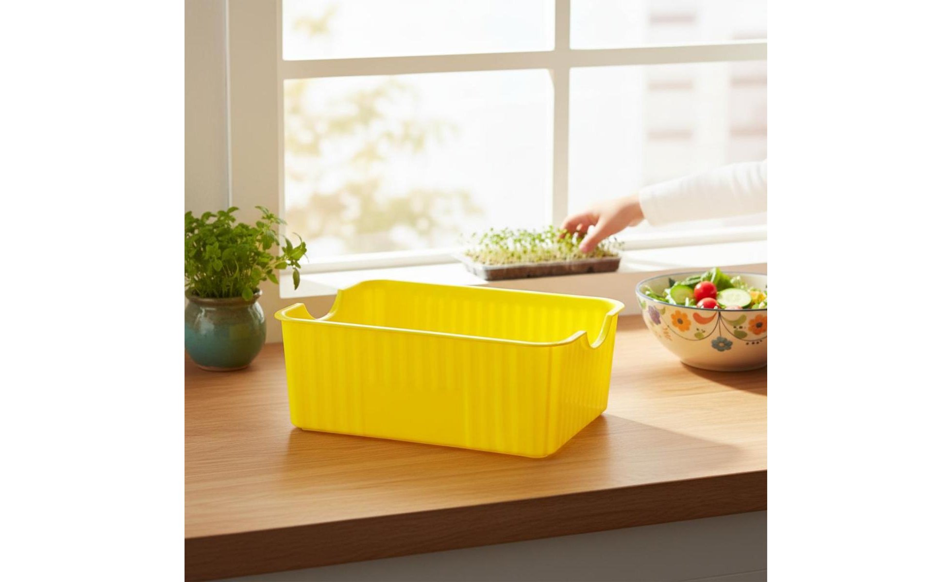 Bean Sprout Grower Box Two-Layer Design Soilless Sprouter for Pet Owners
