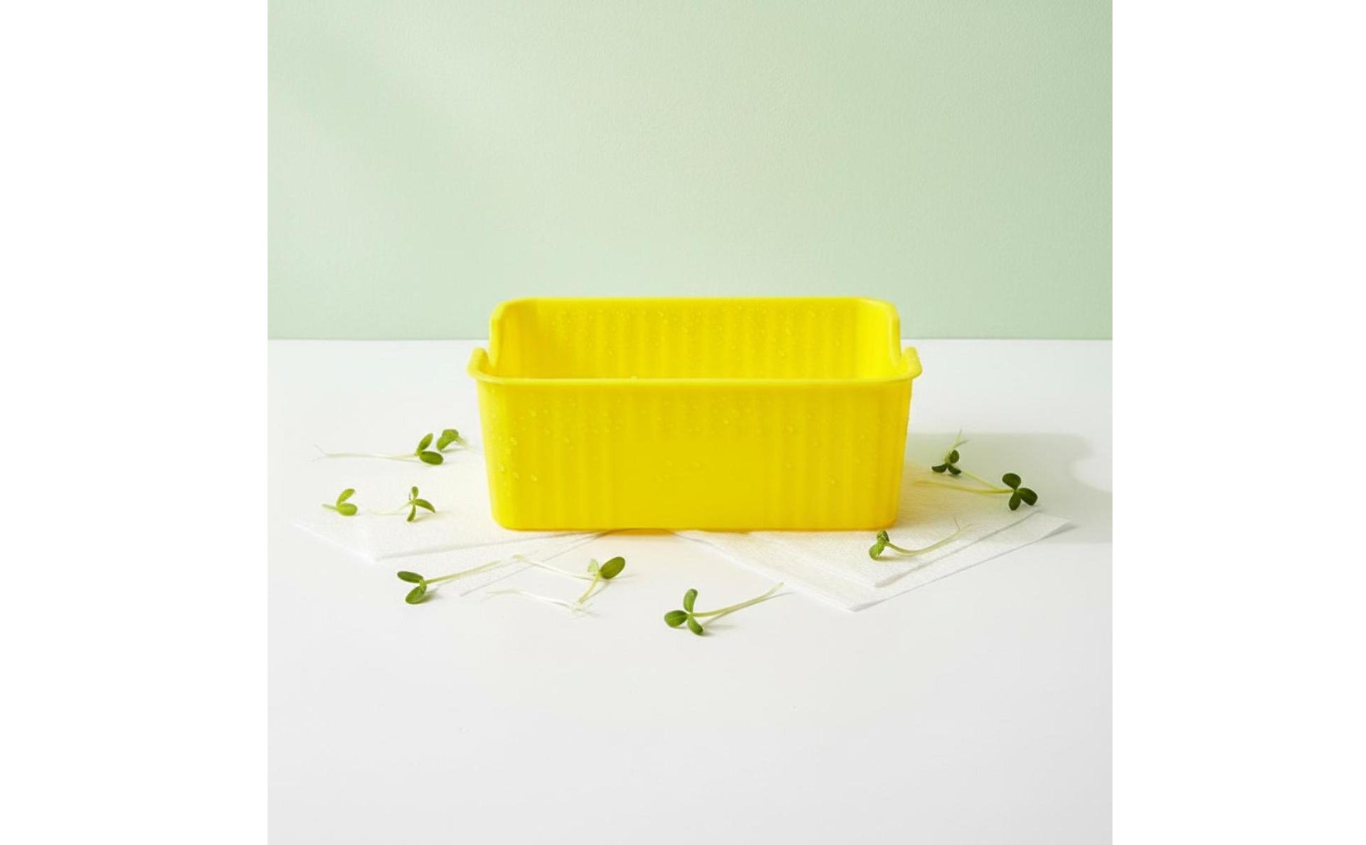 Bean Sprout Grower Box Two-Layer Design Soilless Sprouter for Pet Owners