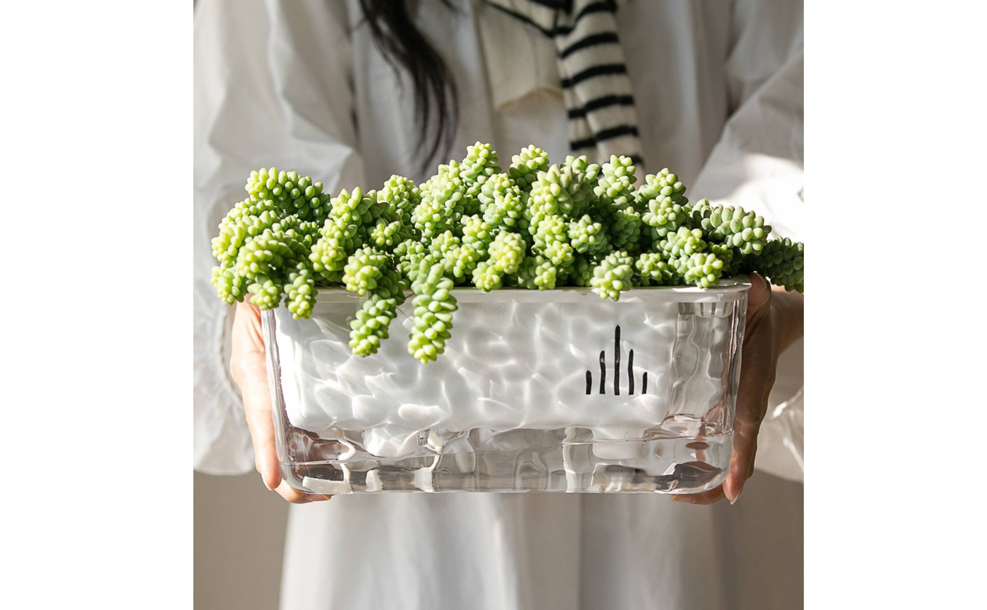 Self-Watering Planter Sturdy PET Material Transparent Plant Pot for Balcony
