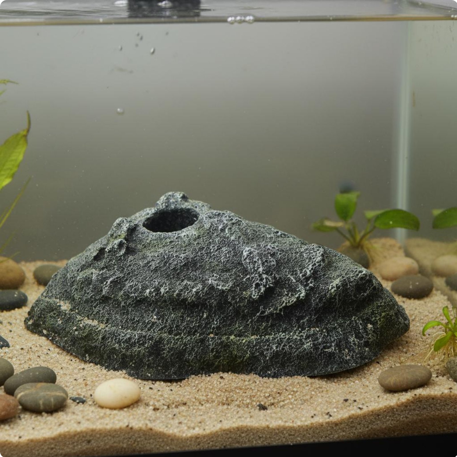 Turtle Basking Perch Realistic Rock Texture Amphibian Hiding Cave Natural Look