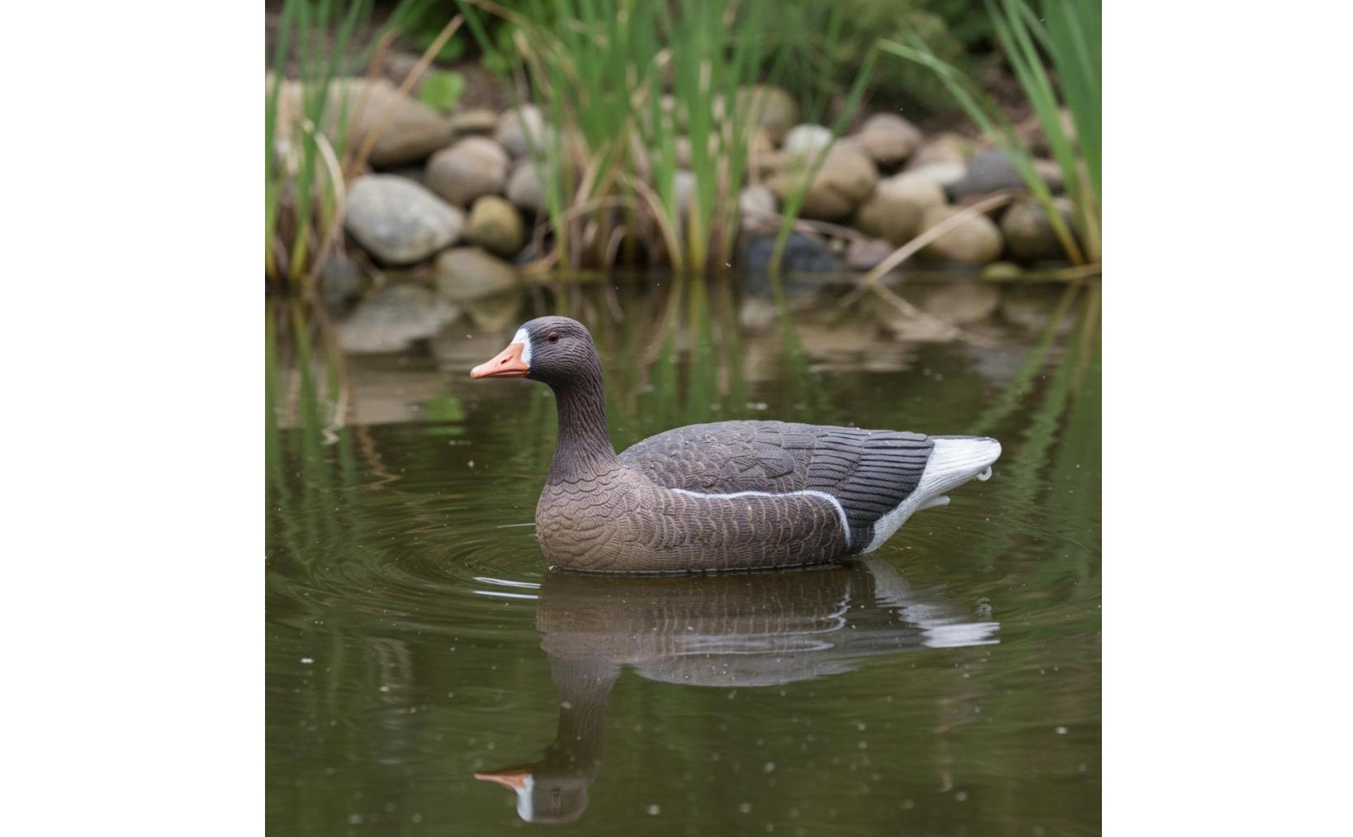 6 Stück Faltbarer EVA-Gänselockvogel Faltbar Schwimmender Gänselockvogel