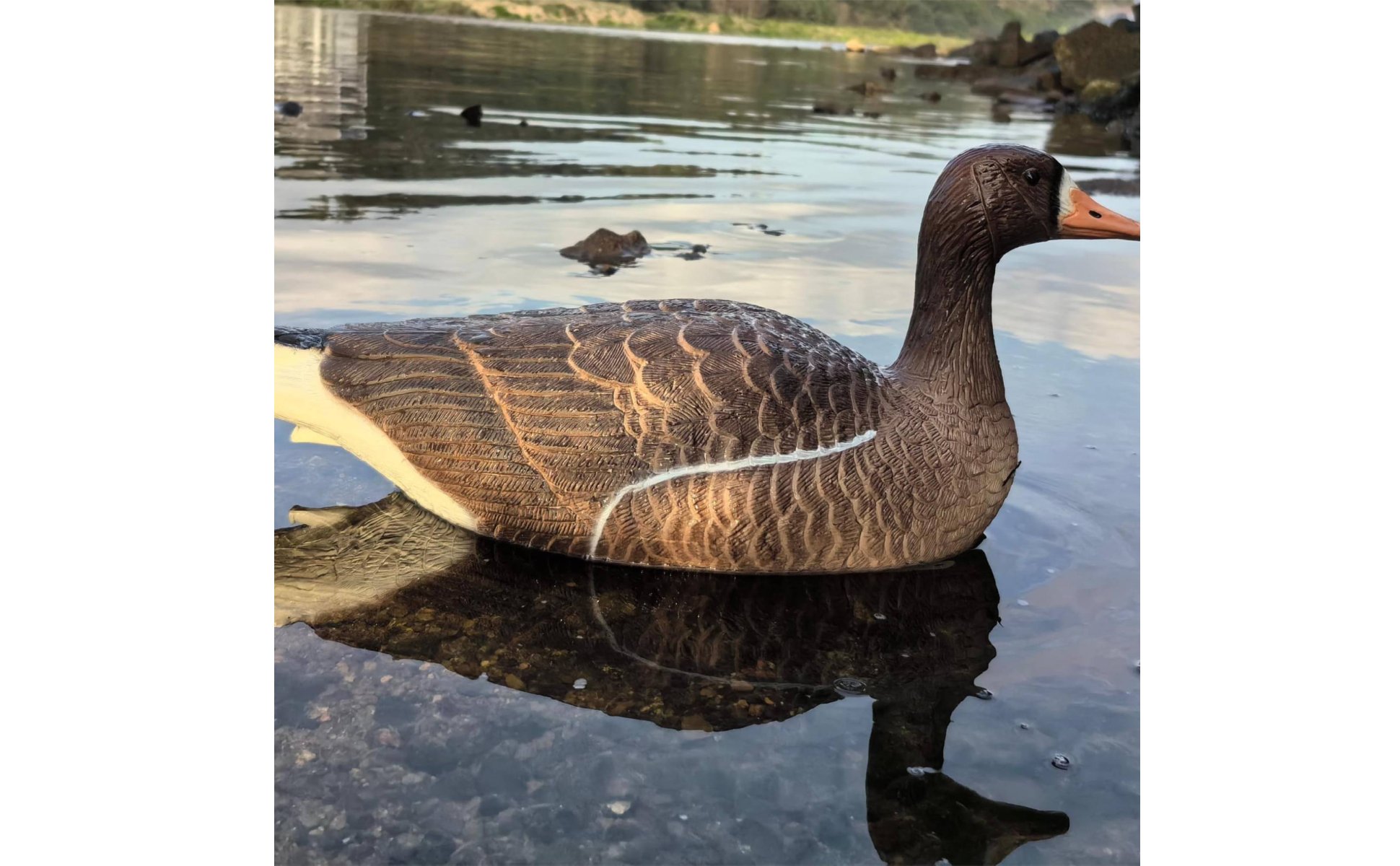 6 Stück Faltbarer EVA-Gänselockvogel Faltbar Schwimmender Gänselockvogel