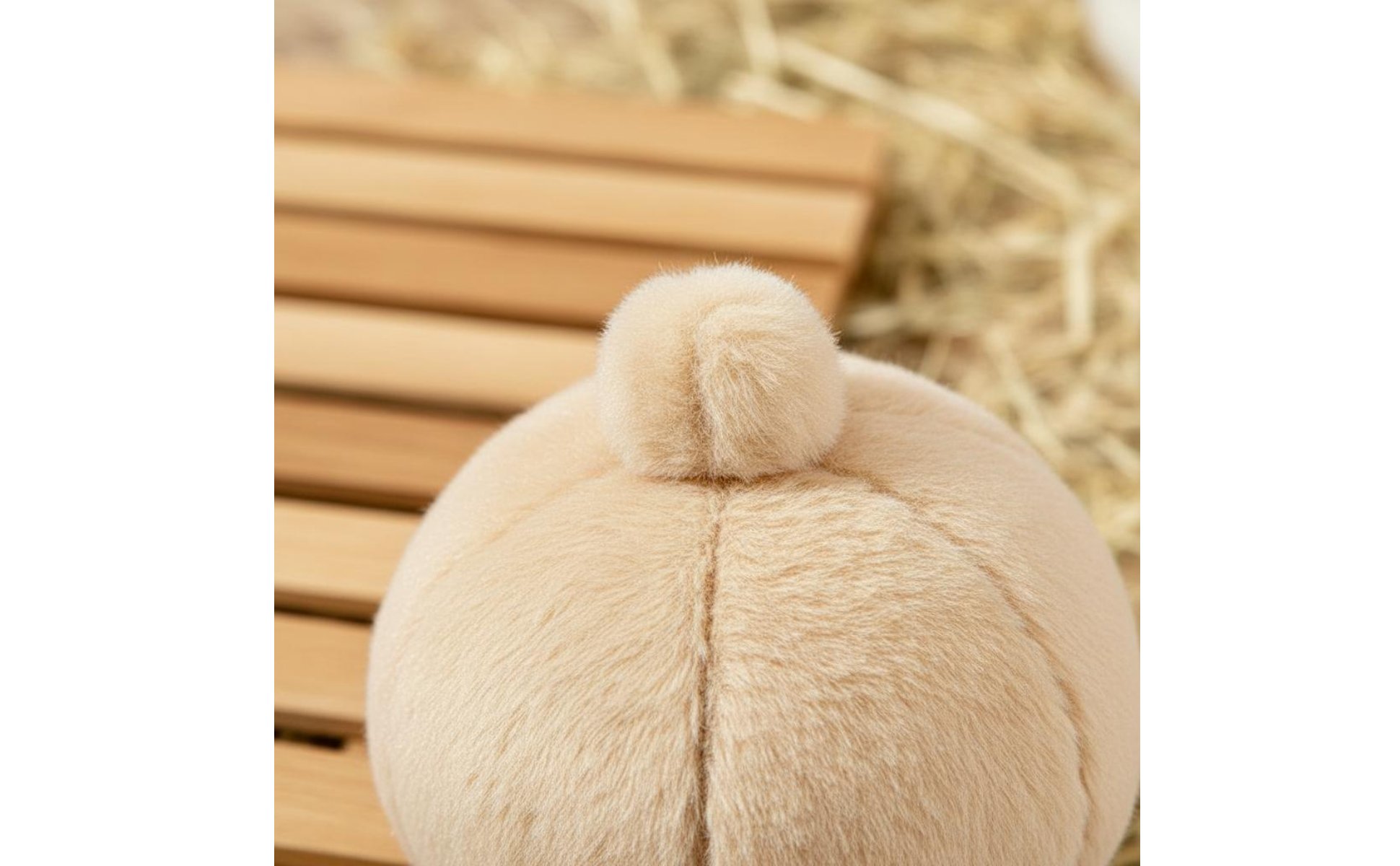 Rabbit Gnaw Ball Boredom Relief Guinea Pig Gnaw Toy Nail Grinding