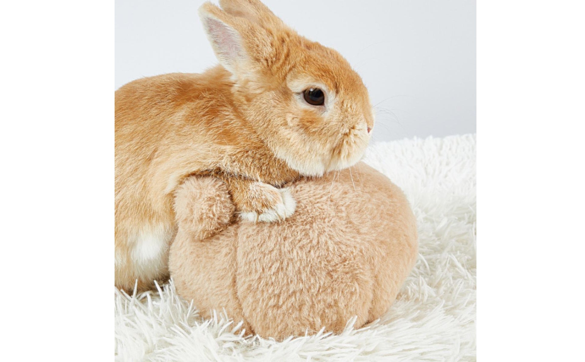 Rabbit Gnaw Ball Boredom Relief Guinea Pig Gnaw Toy Nail Grinding