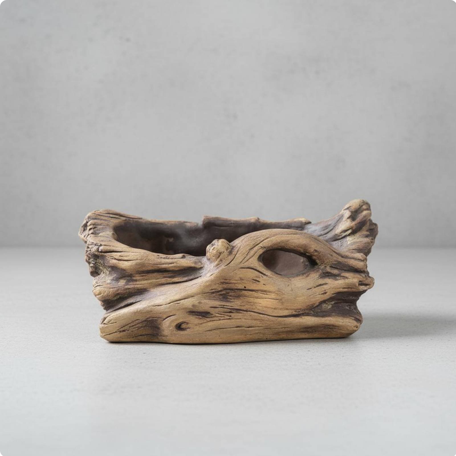 Tree Root Planter Rustic Look Wood Log Planter Drainage Hole for Tabletop