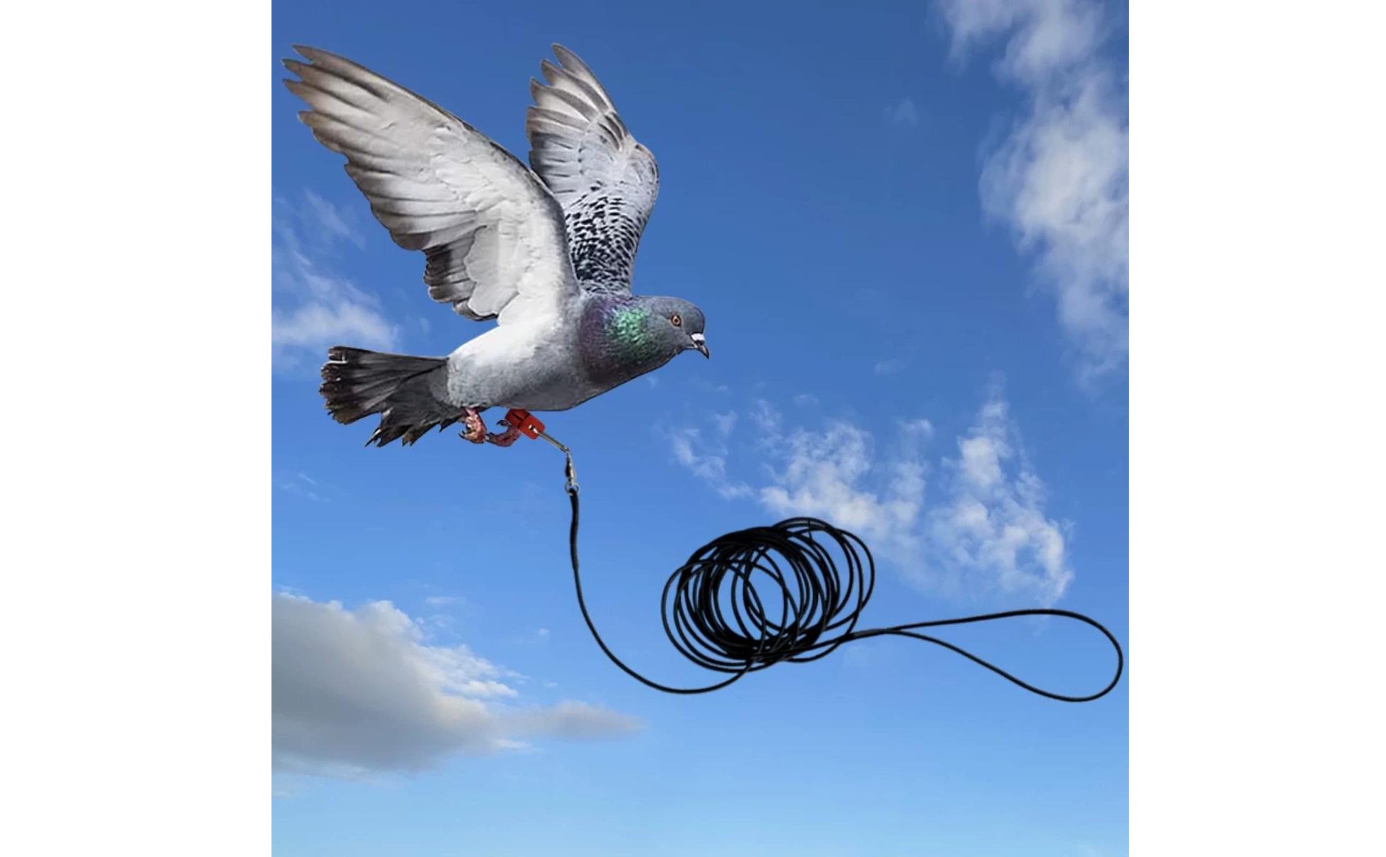 Pigeon Flight Rope Outdoor Use Elastic Bird Flight Rope Lightweight