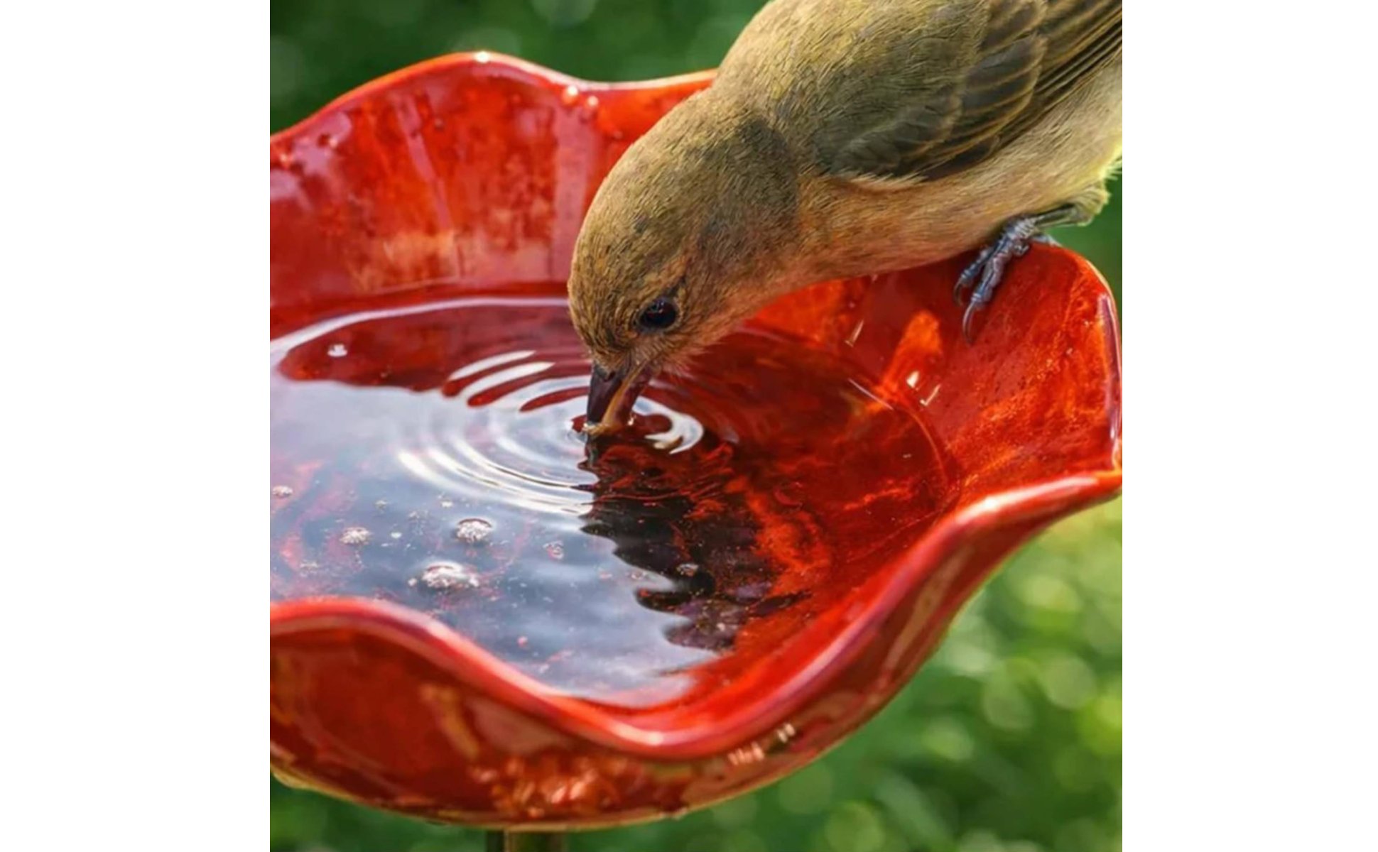 Bird Waterer Handmade Metal Flower Bird Bath Easy to Place for Backyard, Outdoor