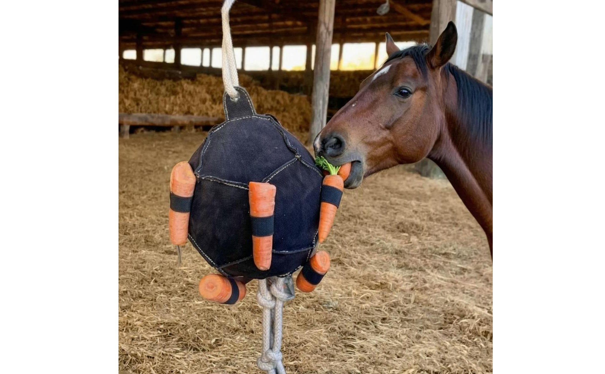 Hanging Carrot Feeder Encourages Natural Foraging Horse Slow Feeder Toy