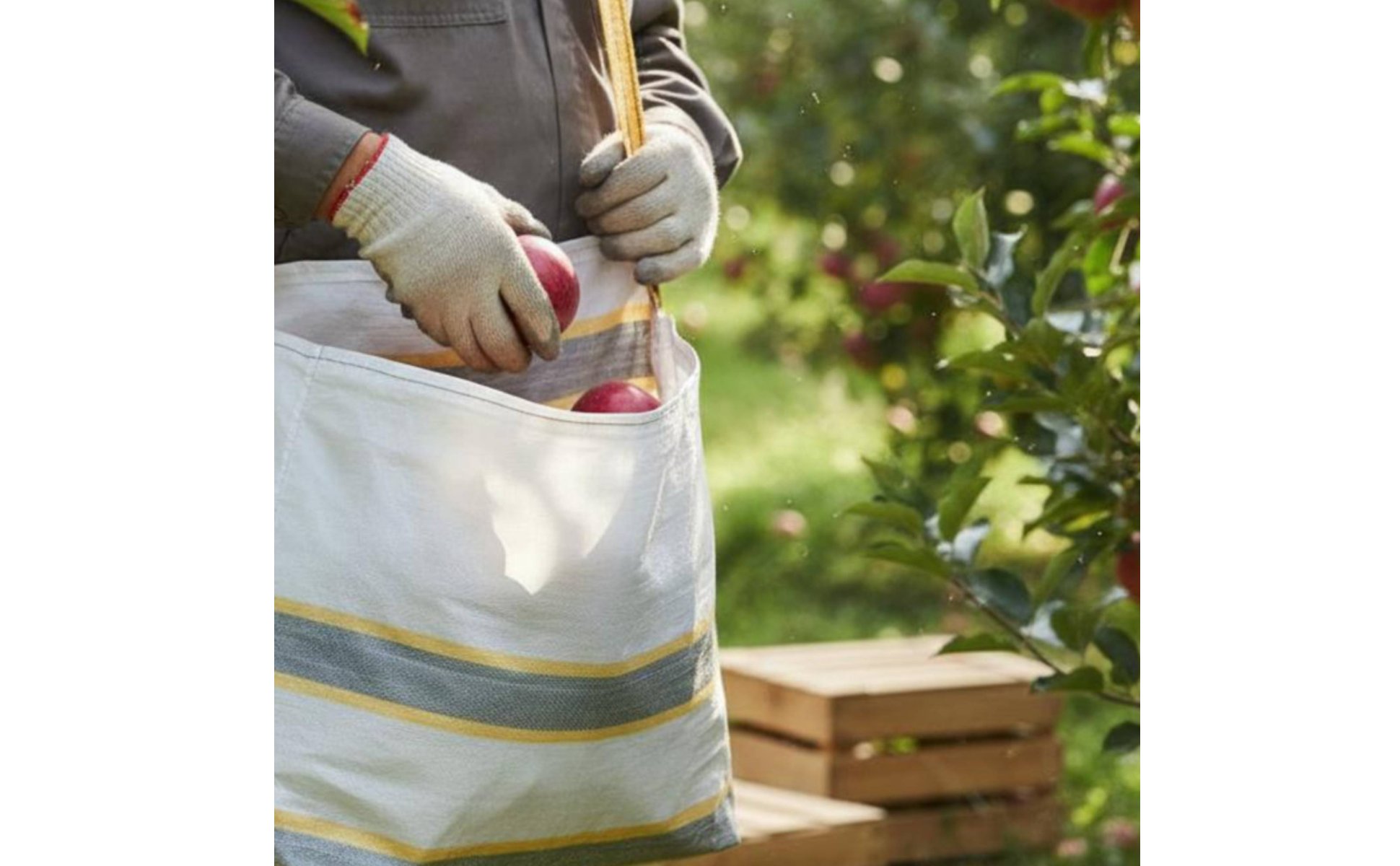Picking Bag Waterproof Shoulder Gathering Bag Portable for Field, Pickers