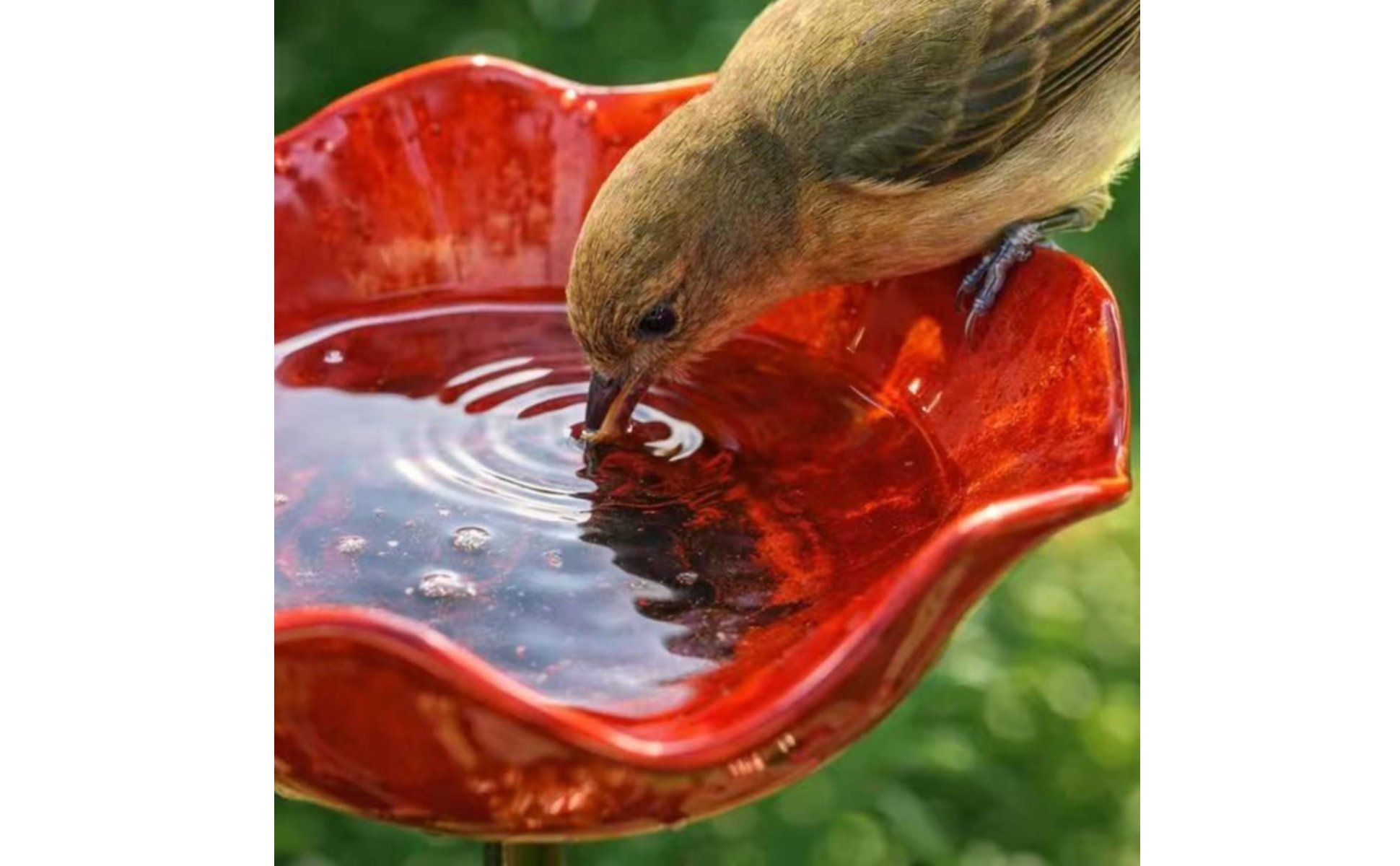Metal Flower Water Dispenser Handmade Flower Avian Dispenser Nature Welcoming