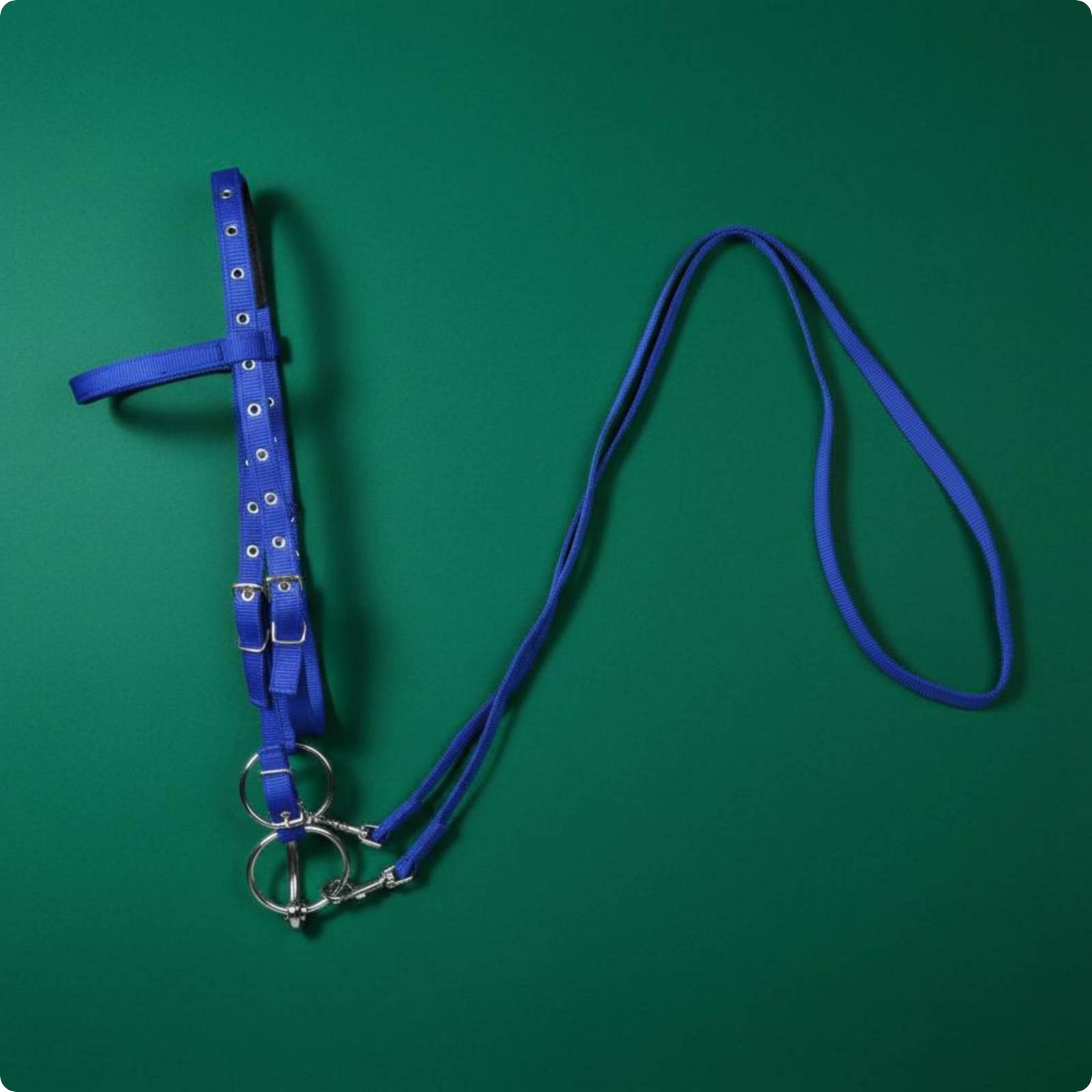 Horse Bridle and Reins Set Easy to Use Horse Bridle and Rein Set for Training