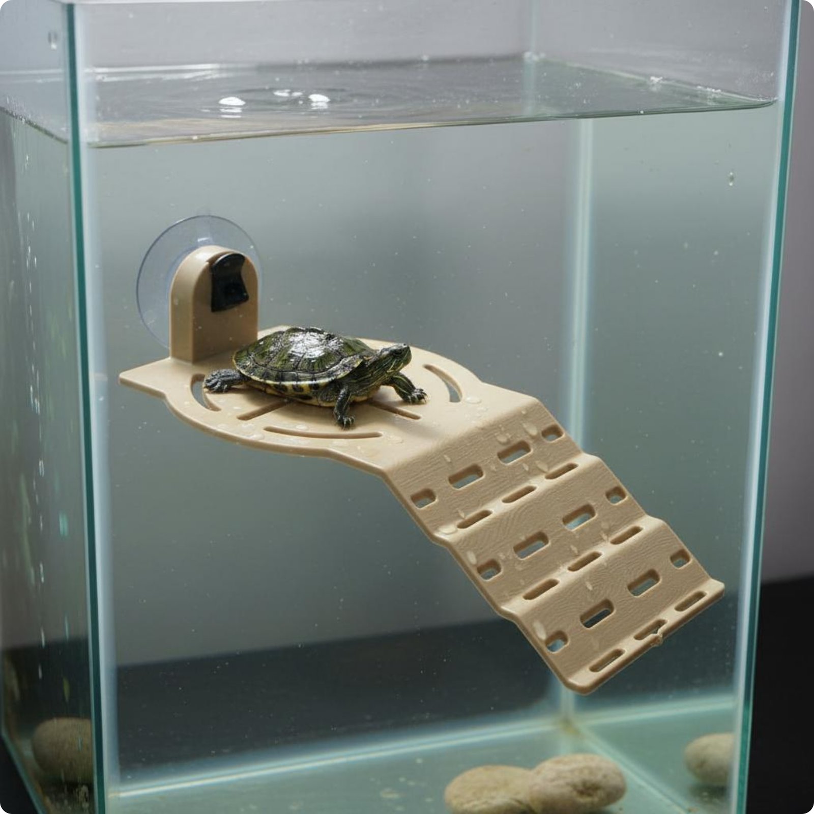 Turtle Basking Dock Easy to Clean Suction Holder Turtle Dock Waterproof