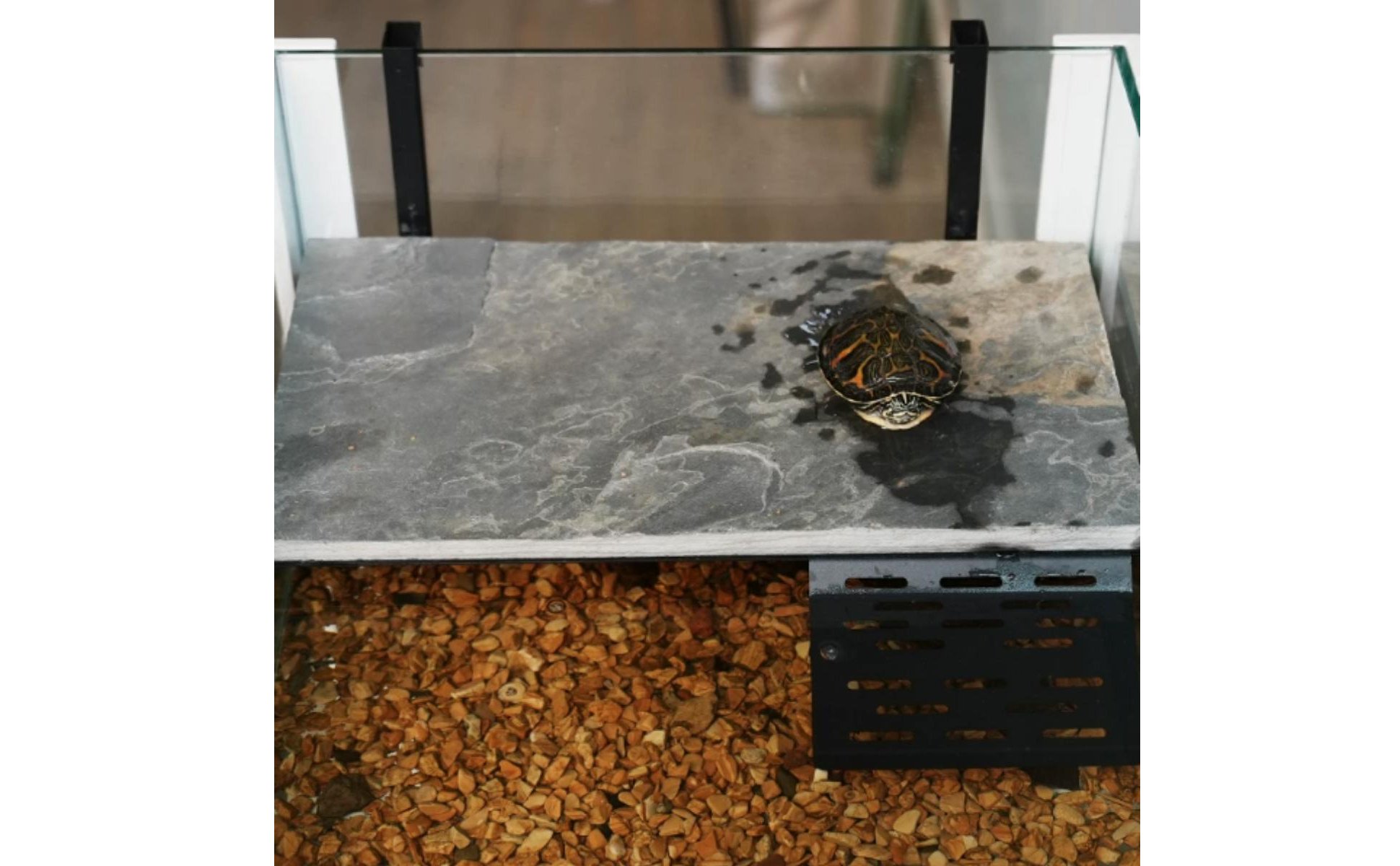Wall Mounted Turtle Platform Natural Stone Look Turtle Basking Dock Space Saving