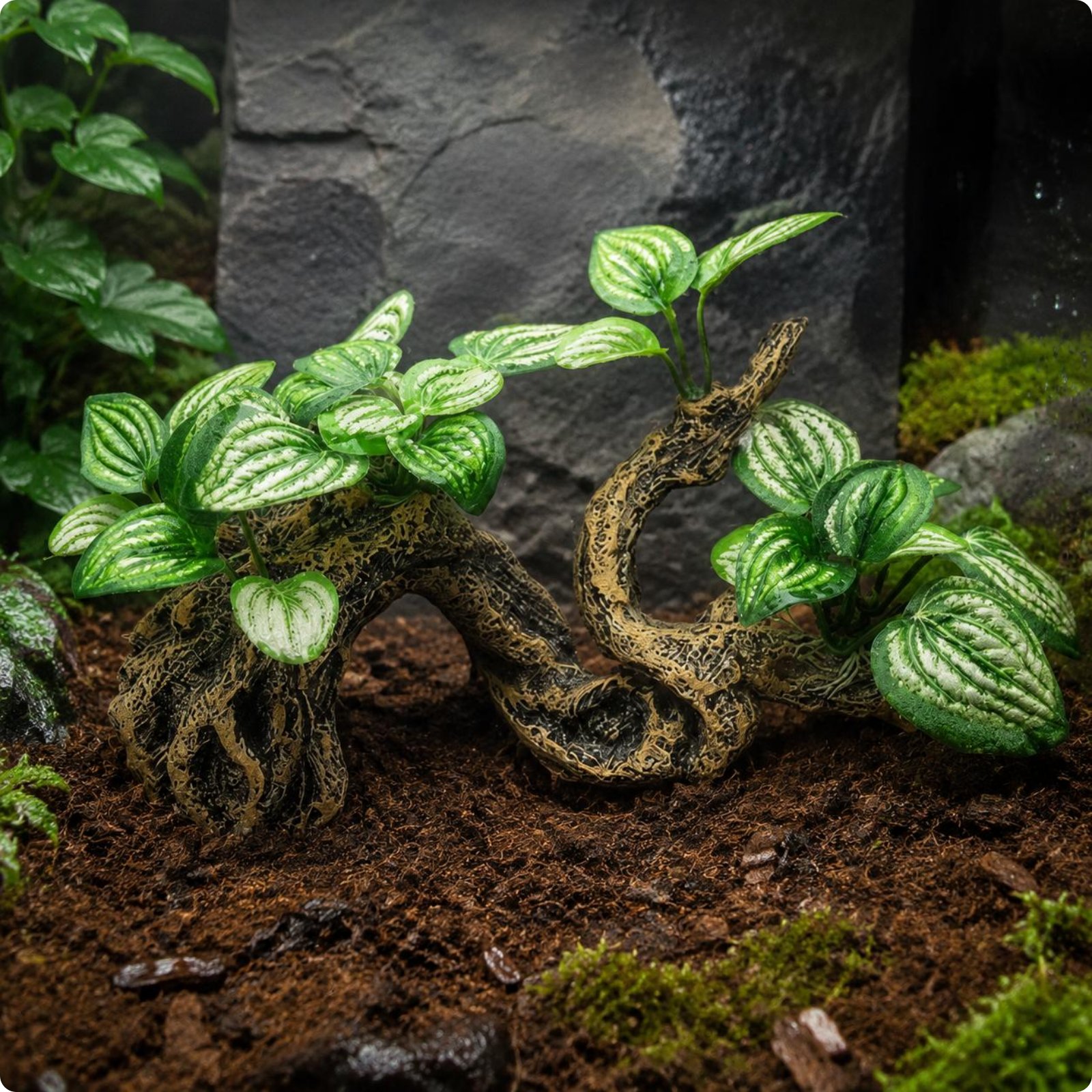 Pet Rock Hide Multi-Use Pet Cave Hide Stable Base for Terrarium