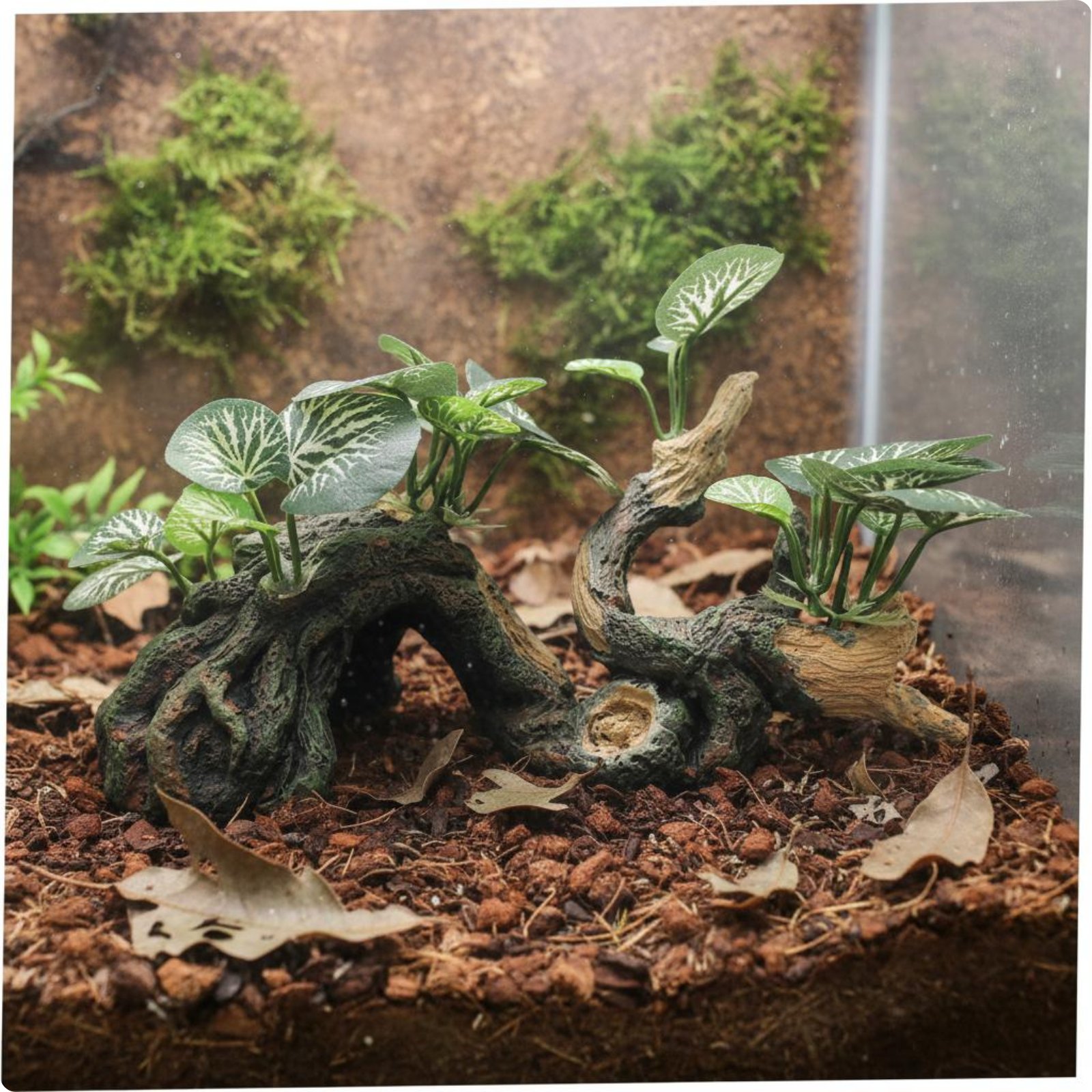 Pet Rock Hide Easy to Pet Hygiene Decor Stable Base for Terrarium