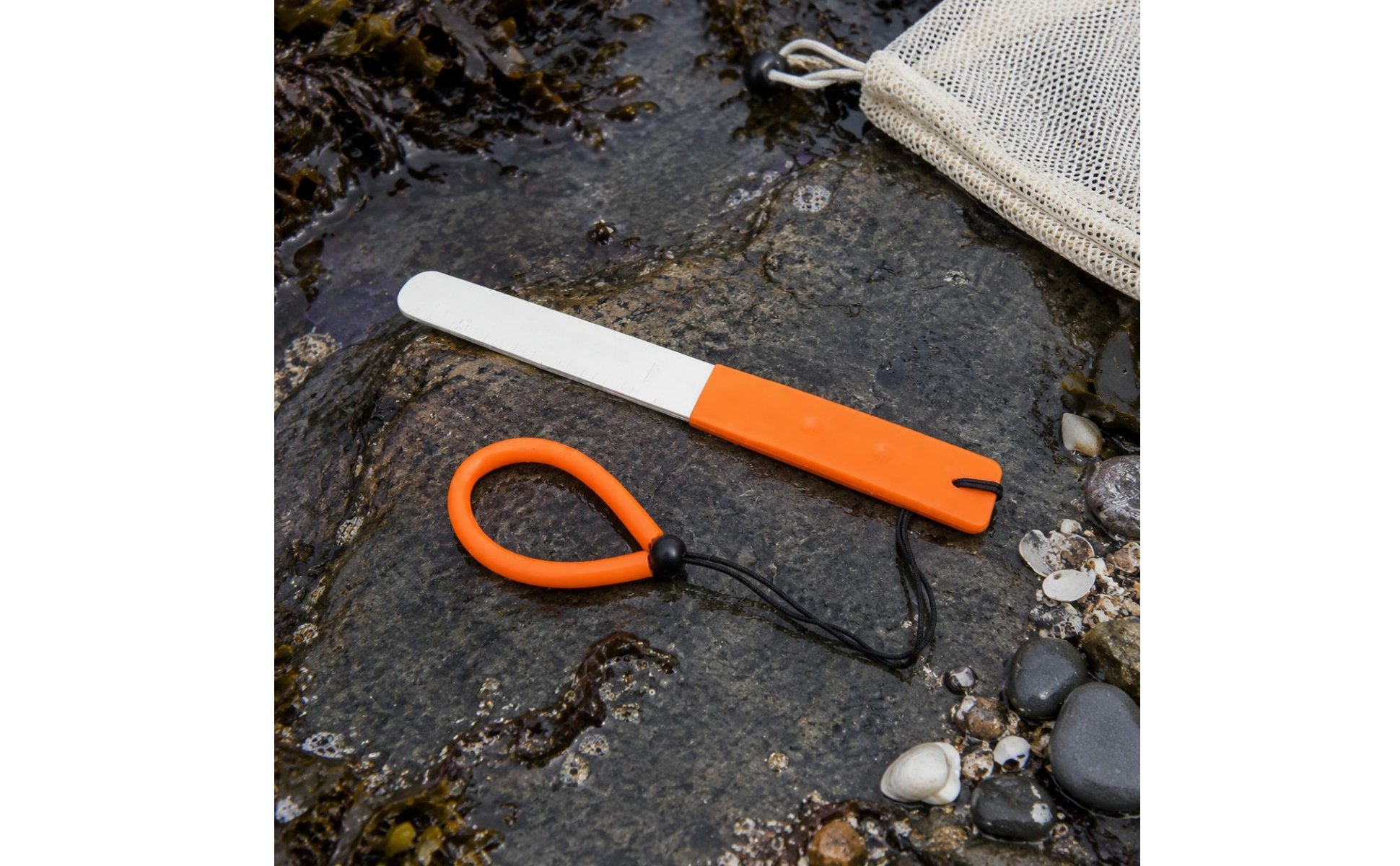 Marine Mollusk Gauge with Scale Shell Tool Aluminum Frame for Divers