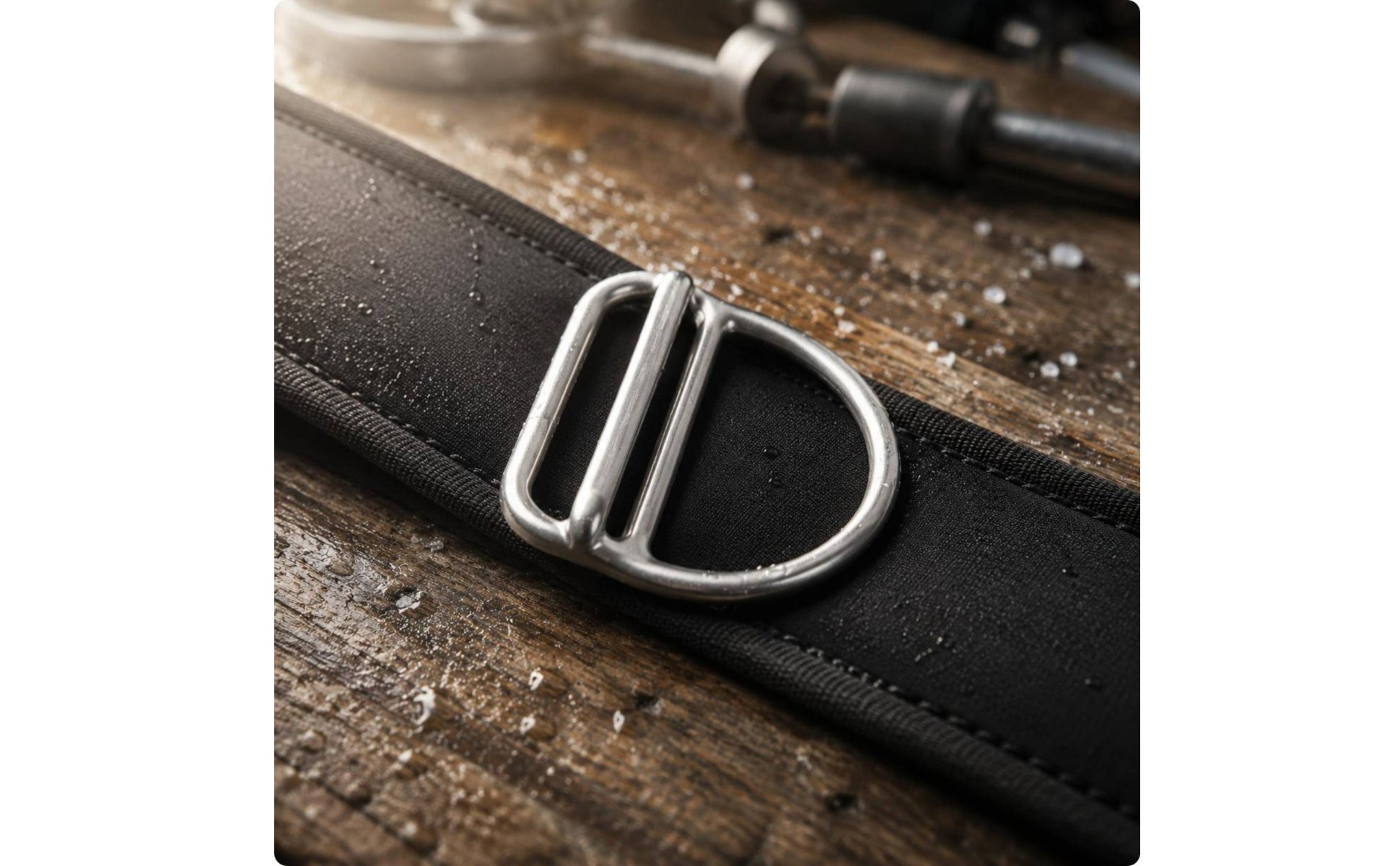 Diving Harness D Buckle SS316 2 Inch Strap D Ring Sand Blasted Finish
