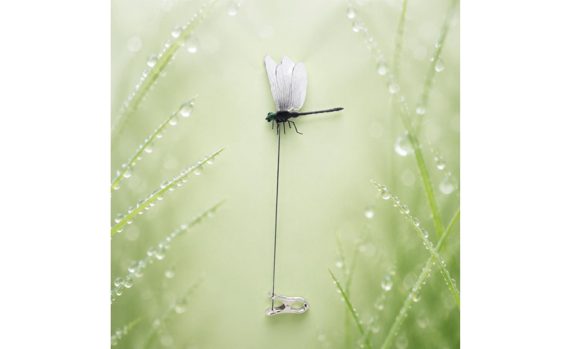 5 Pieces Realistic Dragonfly Clip Included Fake Dragonfly Clip