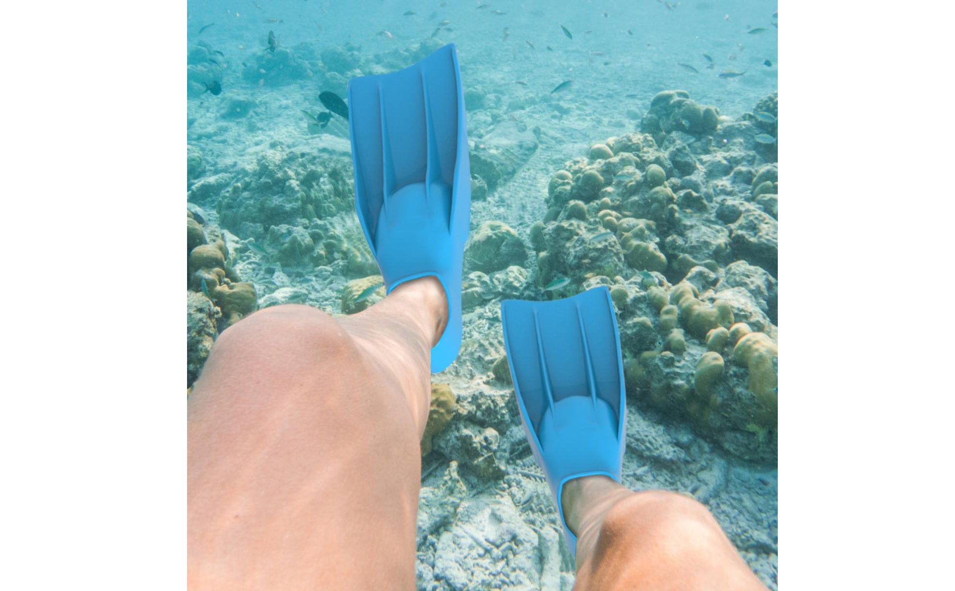 Freediving Fins High Propulsion Effectiveness Long Blade Fins Full Foot Pocket