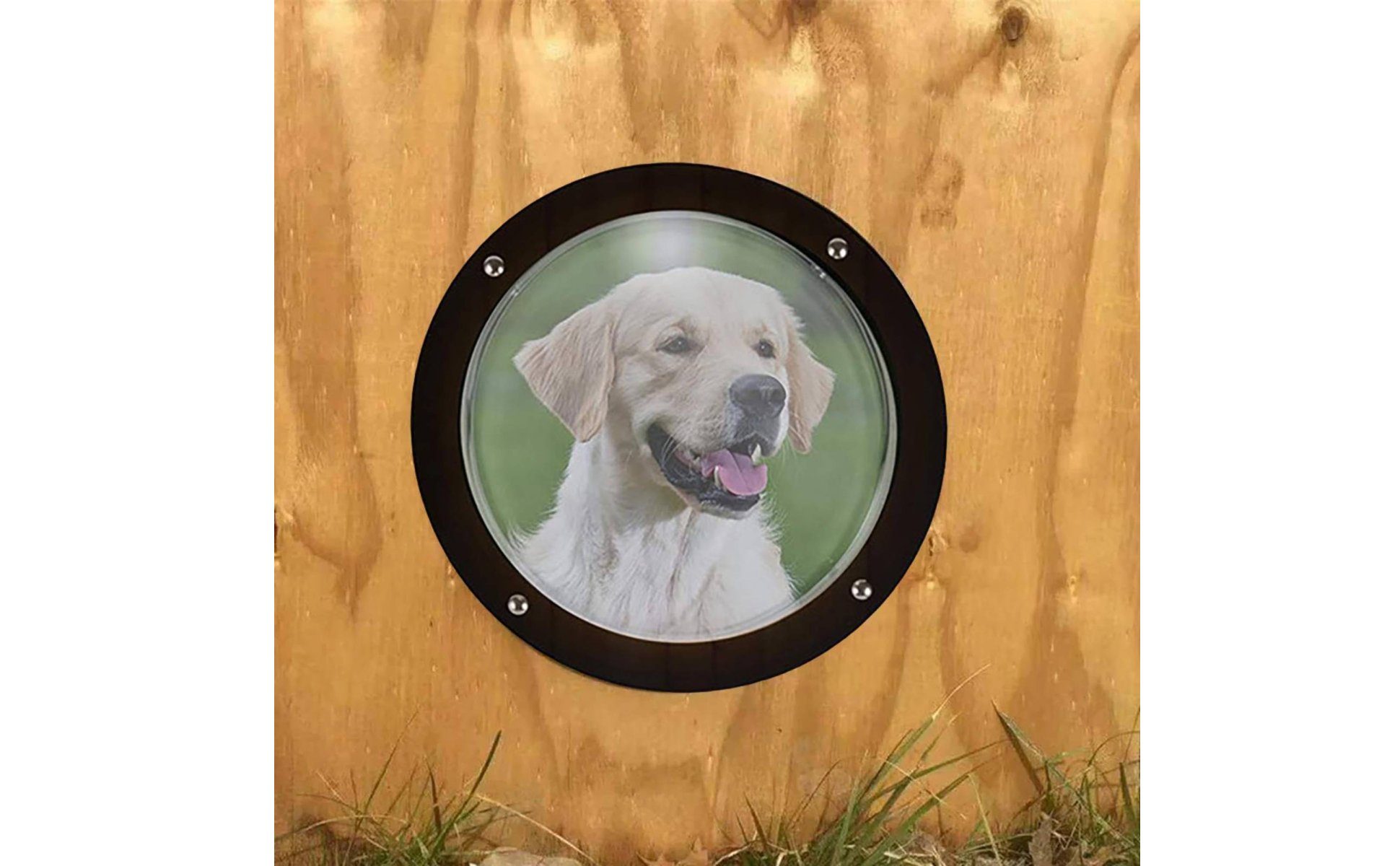Transparent Pet Window Cover High Clarity Pet Window Dome Clear View