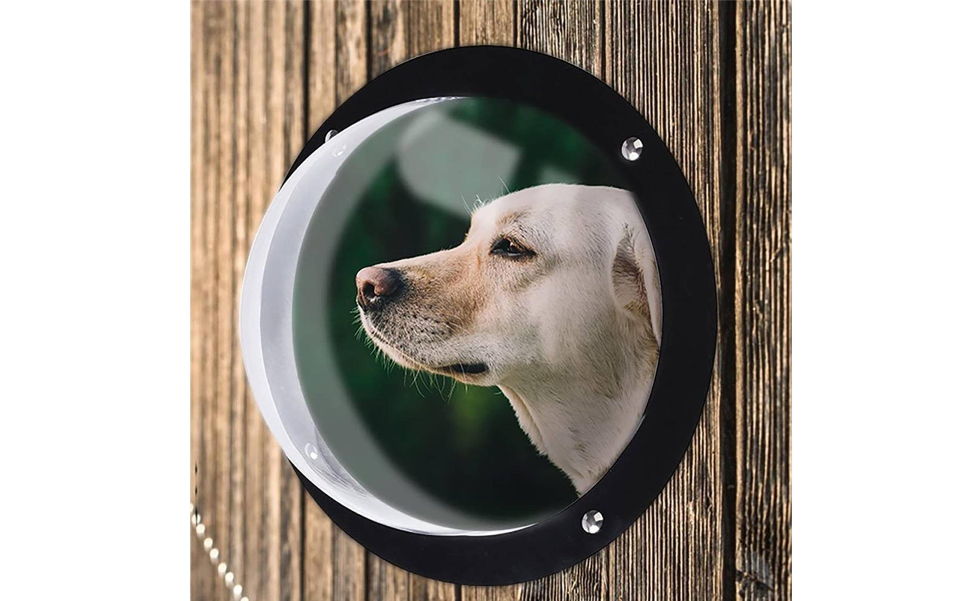 Transparent Pet Window Cover High Clarity Pet Window Dome Clear View