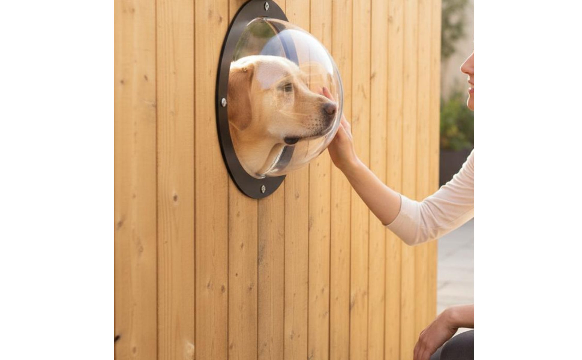 Transparent Pet Window Cover High Clarity Pet Window Dome Clear View