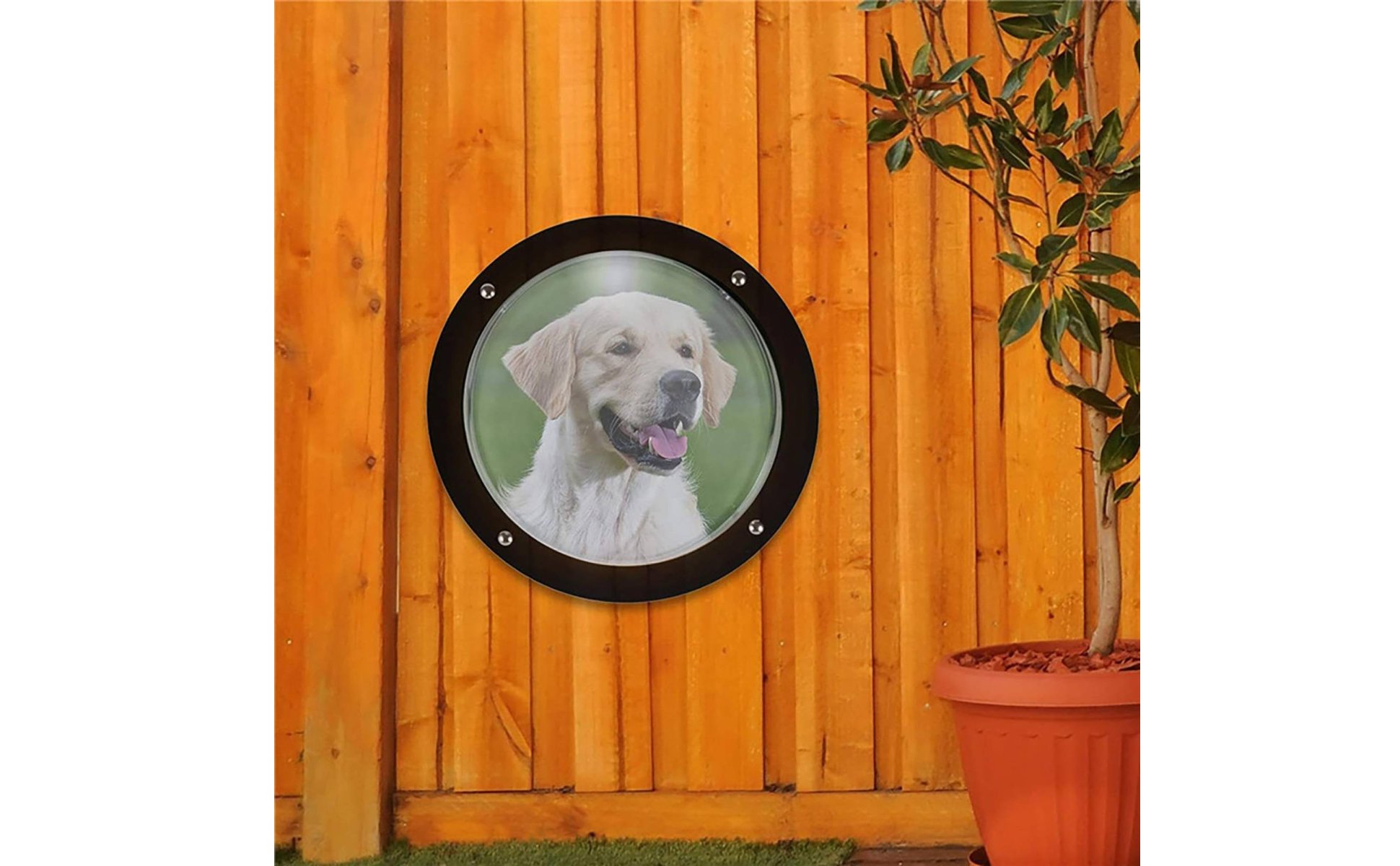 Transparent Pet Window Cover High Clarity Pet Window Dome Clear View