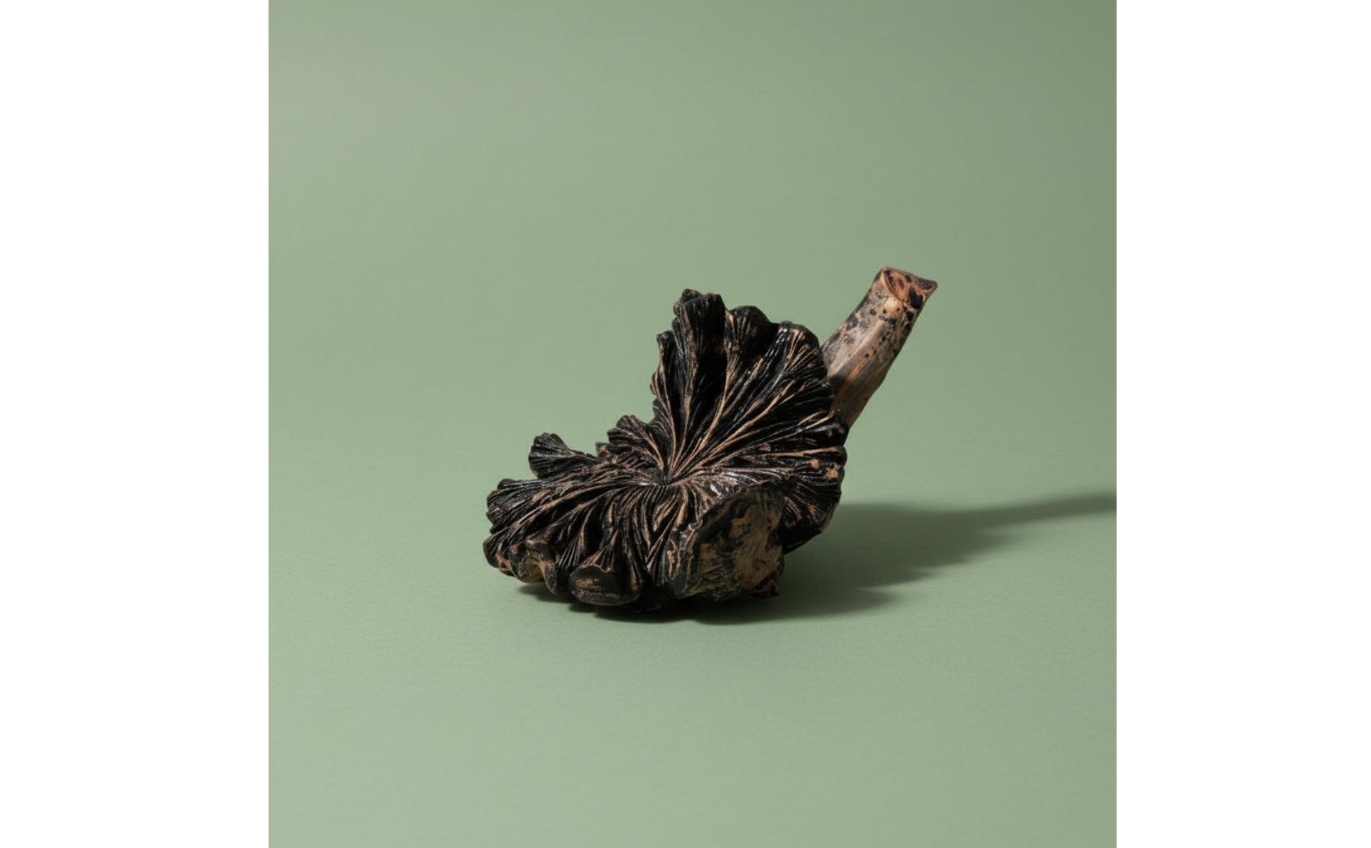 Volcano Flower Sculpture Desktop Display Artistic Tabletop Statue for Restaurant