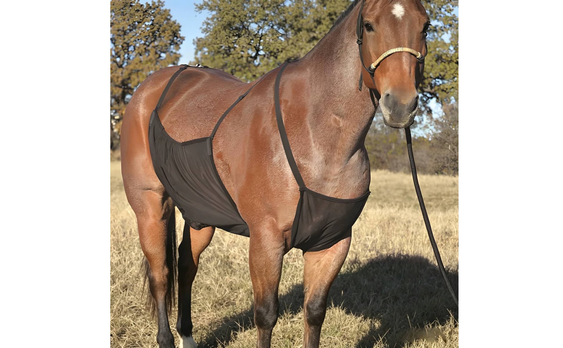 Horse Belly Cover Protection Apron-Design Horse Cover Adjustable Strap