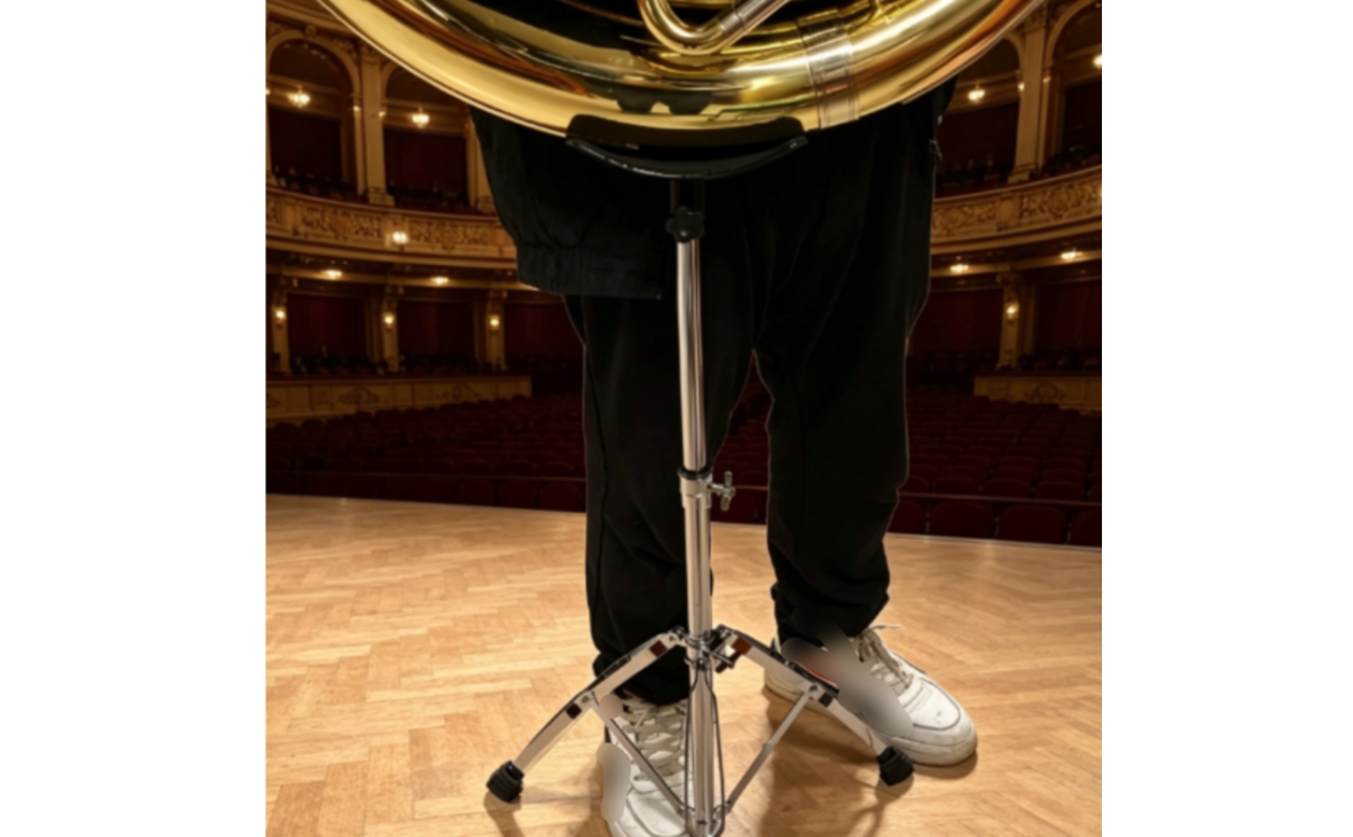 Tuba Stand Height Adjustable Euphonium Stand Folding Tripod for Practice Room