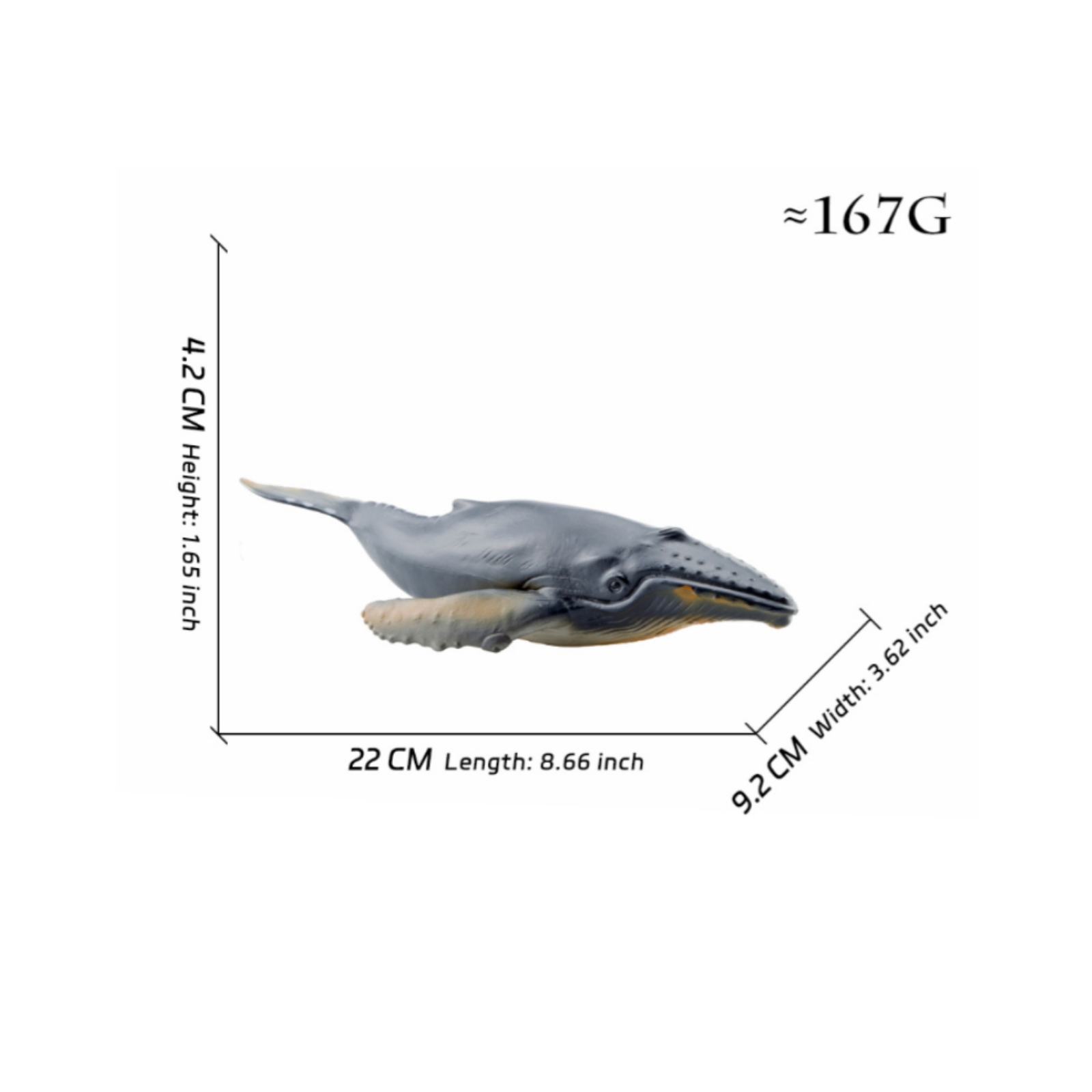 Baleen Marine Mammal Figure Model Educational Baleen Marine Mammal Figure