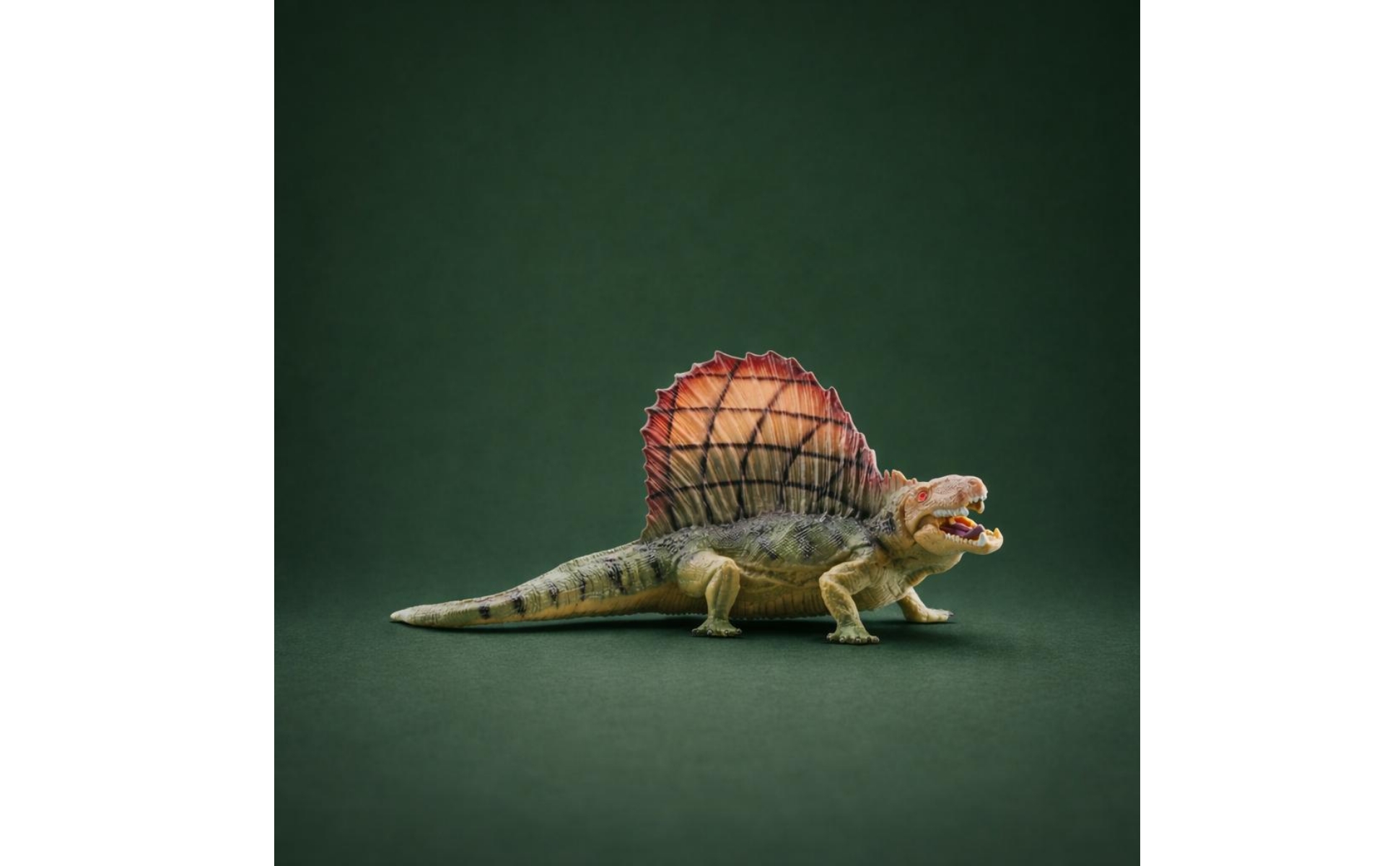 Dimetrodon Model Solid Body Sail-Backed Dinosaur Toy Educational for Classroom