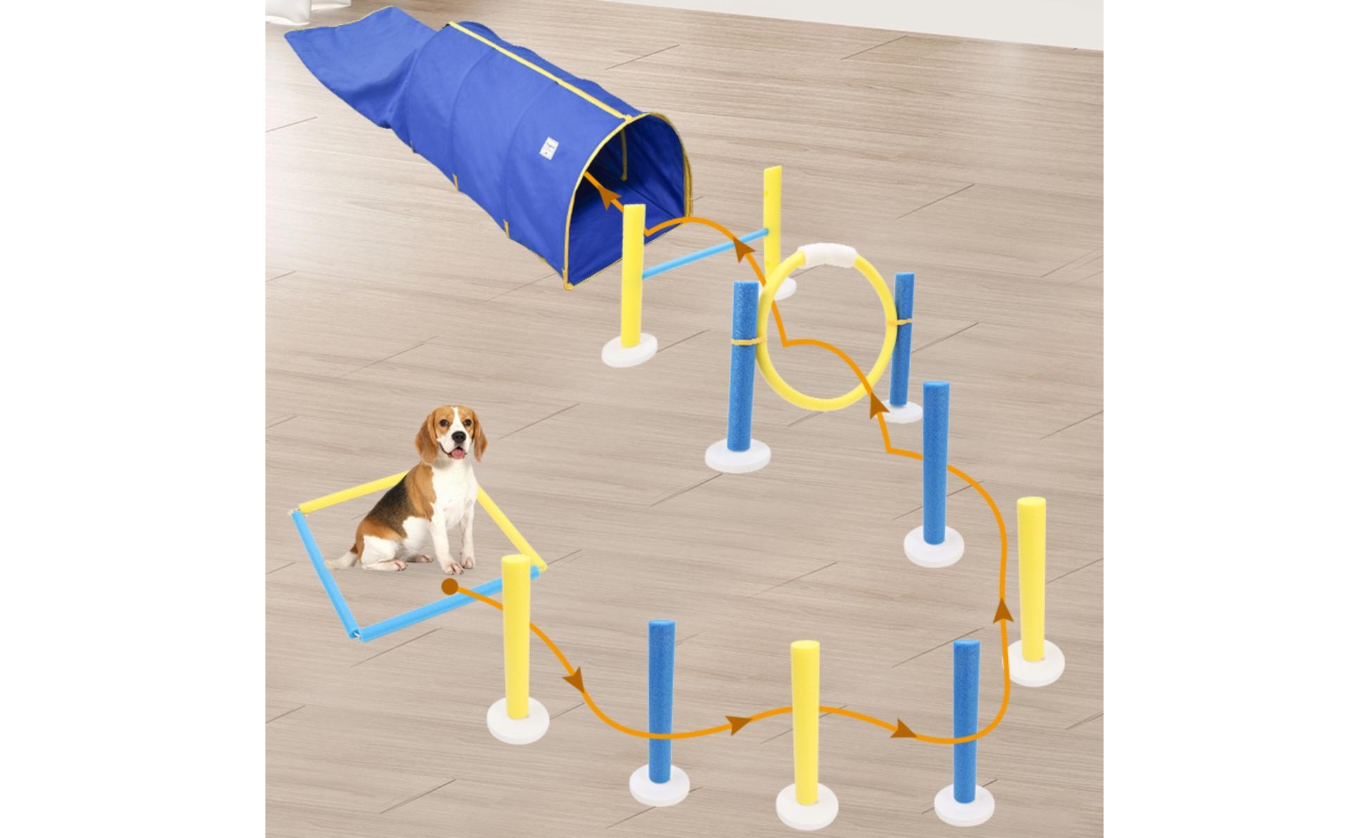 Parcours D'agilité Chien Bleu et Jaune Parcours Agilité Canine avec Bases Rondes