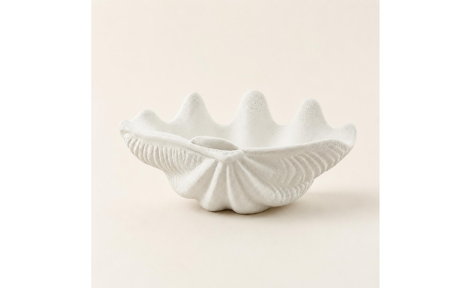 Clam Shell Bowl Modern Minimalist Seashell Decorative Bowl for Hotel, Guesthouse