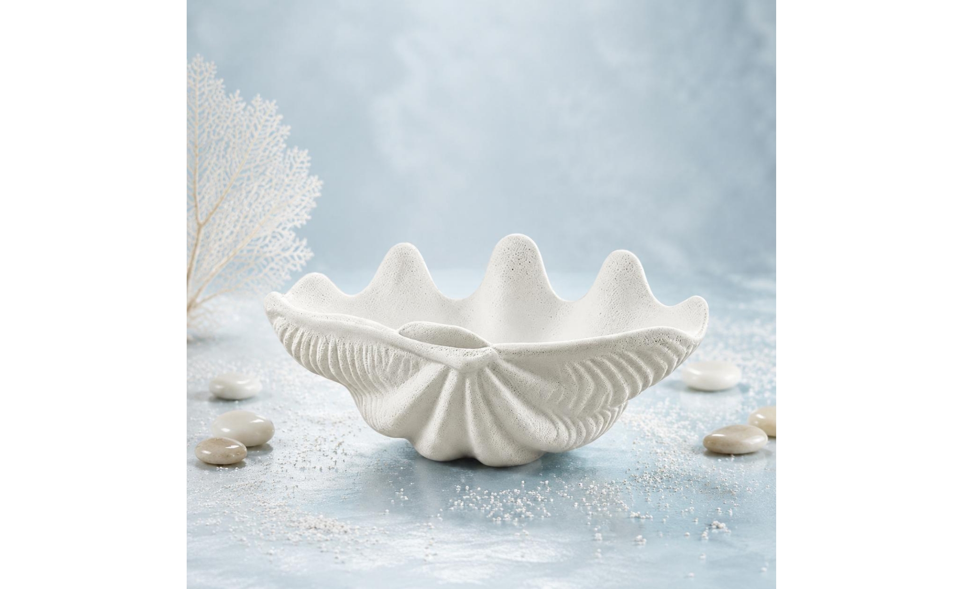 Clam Shell Bowl Modern Minimalist Seashell Decorative Bowl for Hotel, Guesthouse