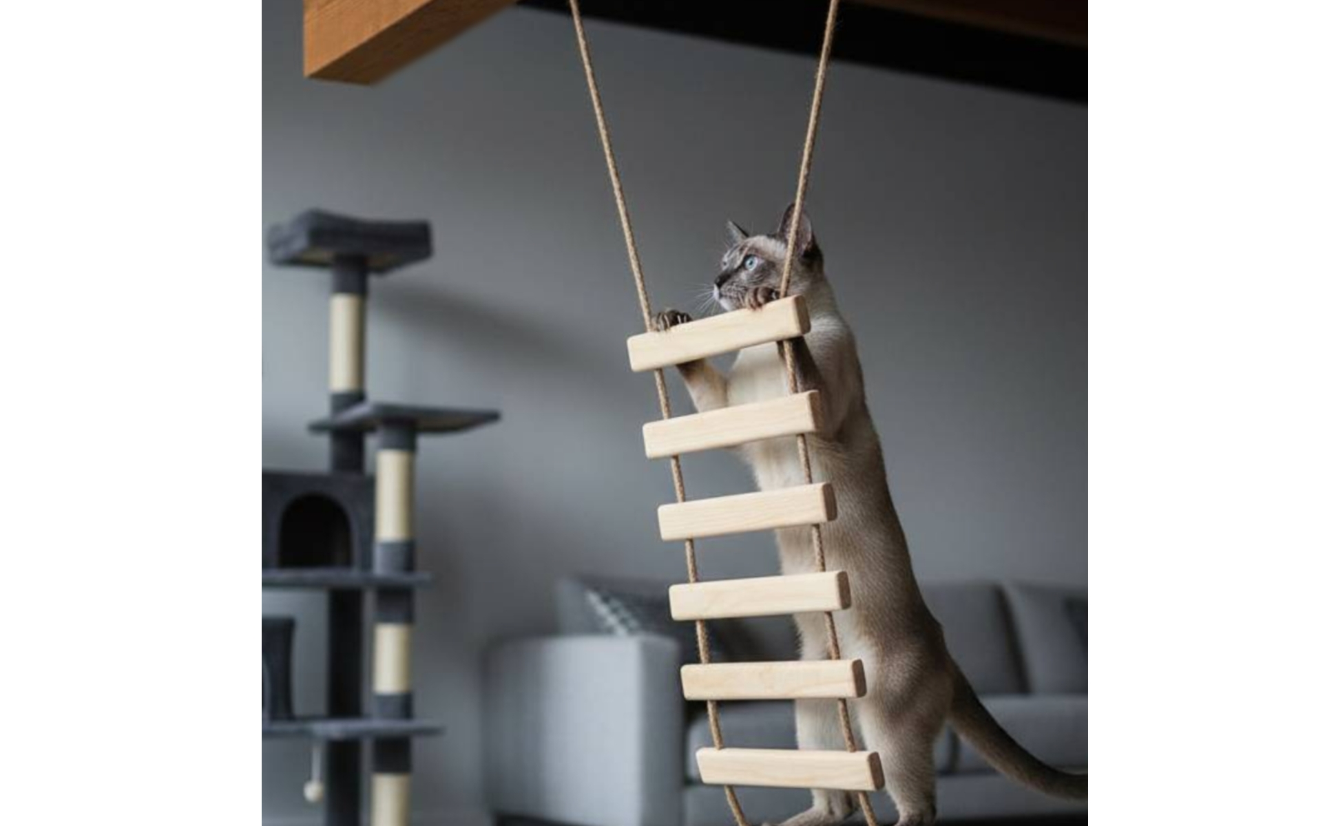 Pet Climbing Ladder Hanging Wooden Pet Ladder Natural Wood