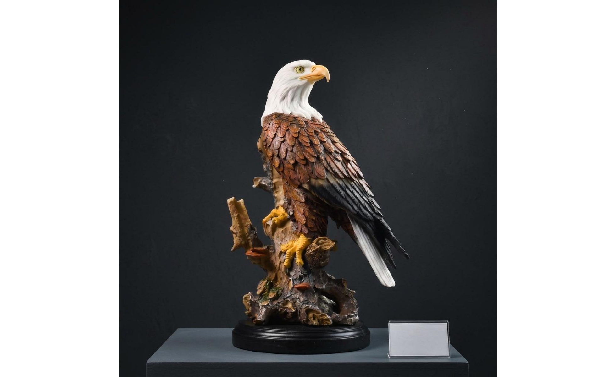 Resin Eagle Figurine Detailed Feather Texture Resin Eagle Sculpture Painted