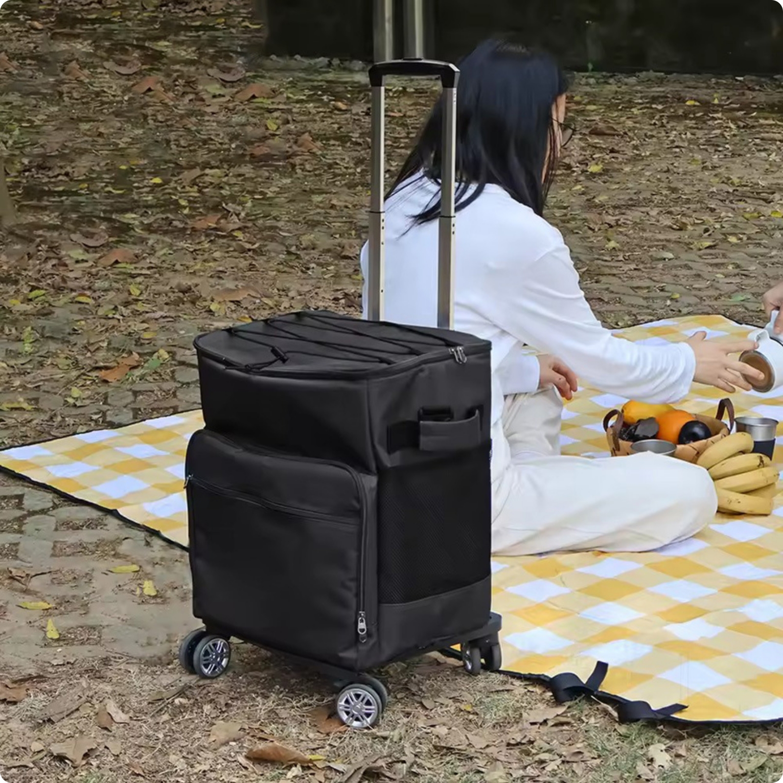 Trolley-Kühltasche Isoliert Teleskopgriff-Kühltasche Netztaschen für Camping