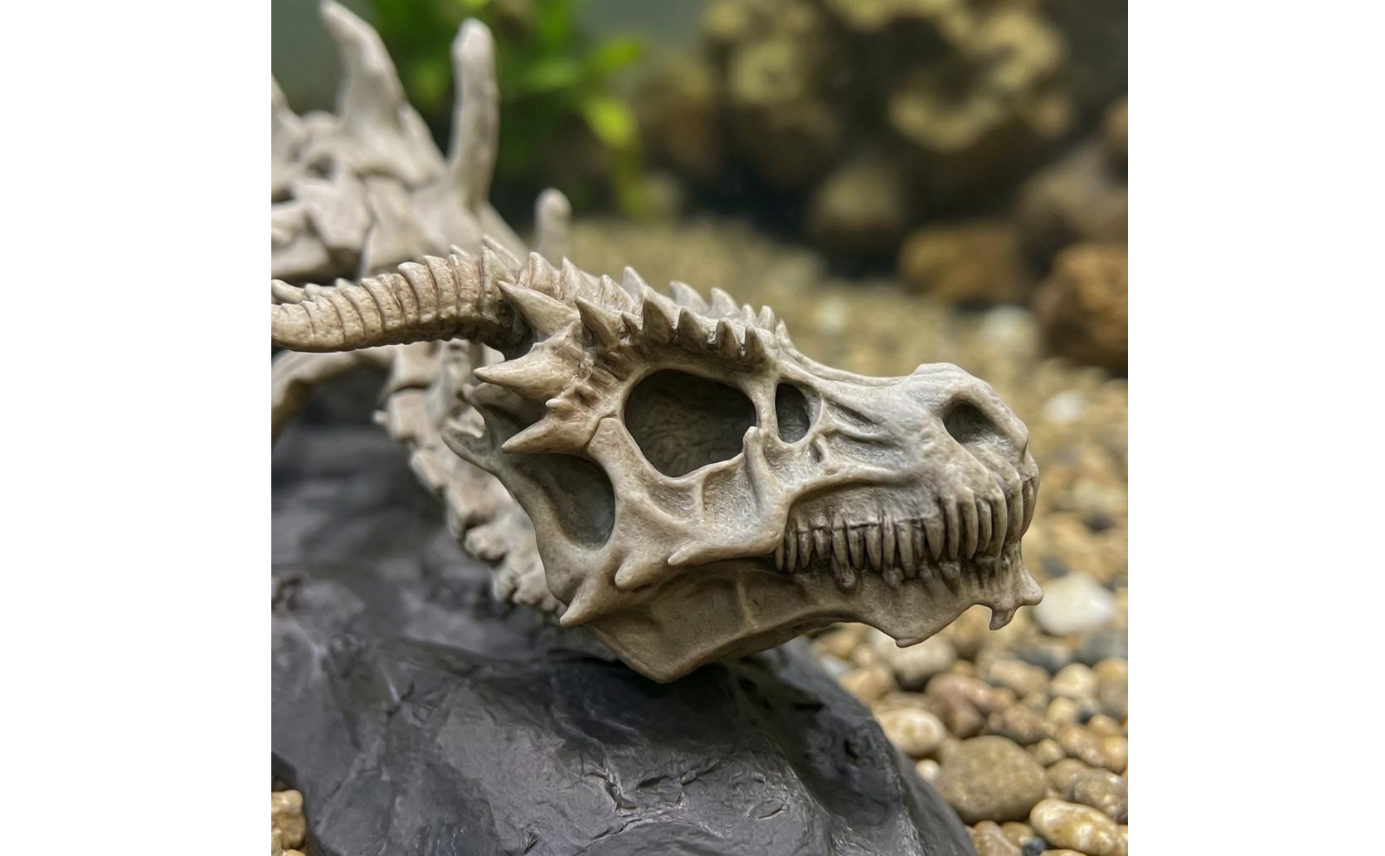 Aquarium Dragon Skeleton Skeletal Dragon Skeleton Ornament Resin