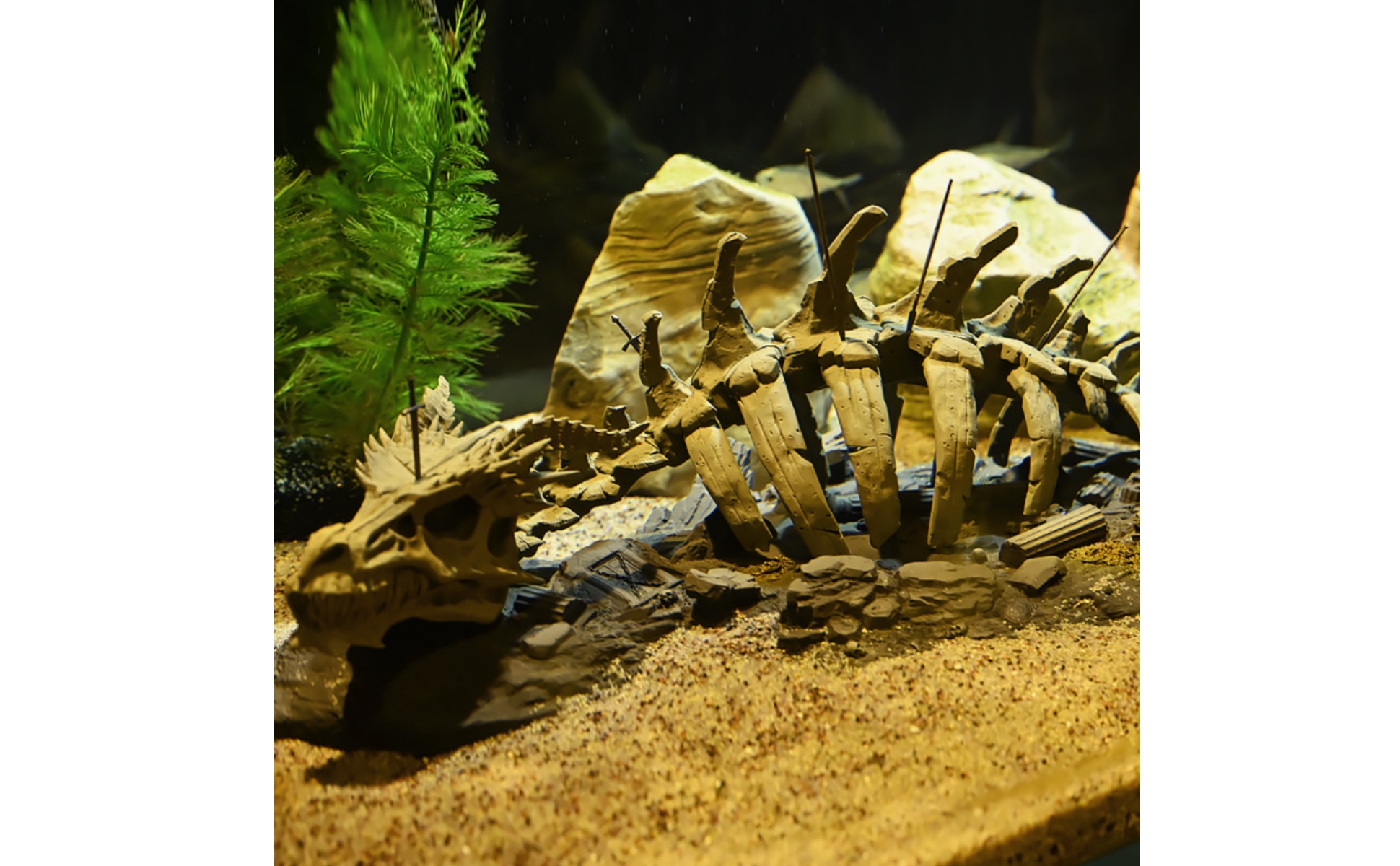 Aquarium Dragon Skeleton Skeletal Dragon Skeleton Ornament Resin